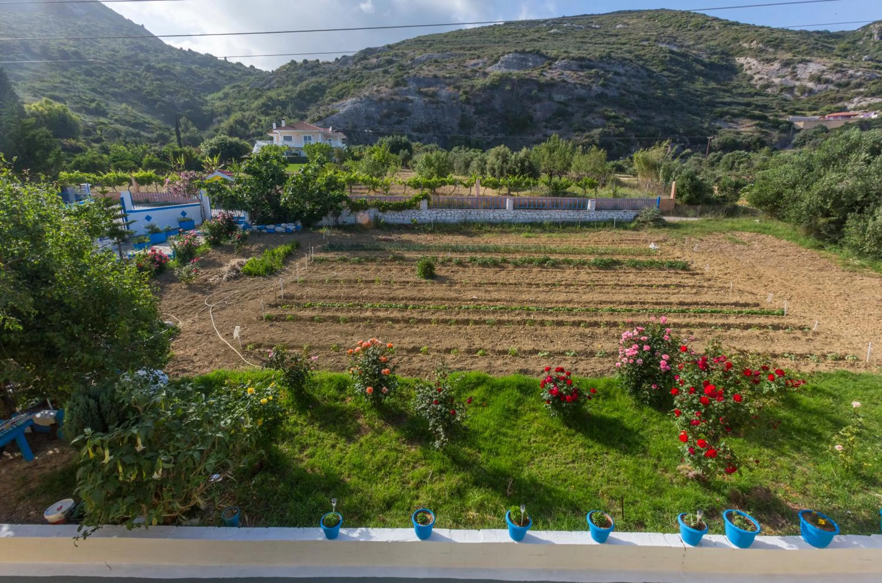 Garden in Anastasia Studios Katelios