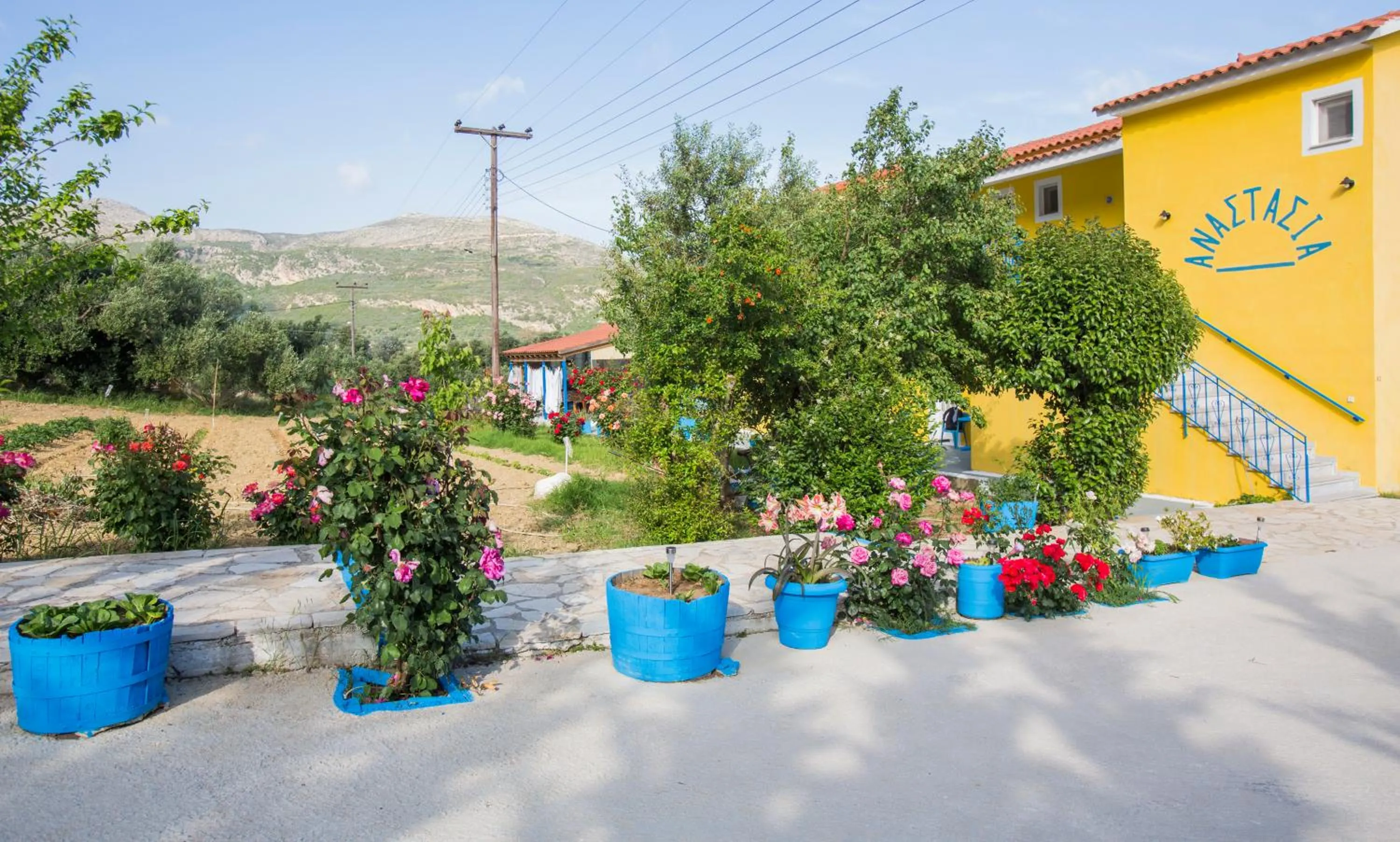 On site in Anastasia Studios Katelios