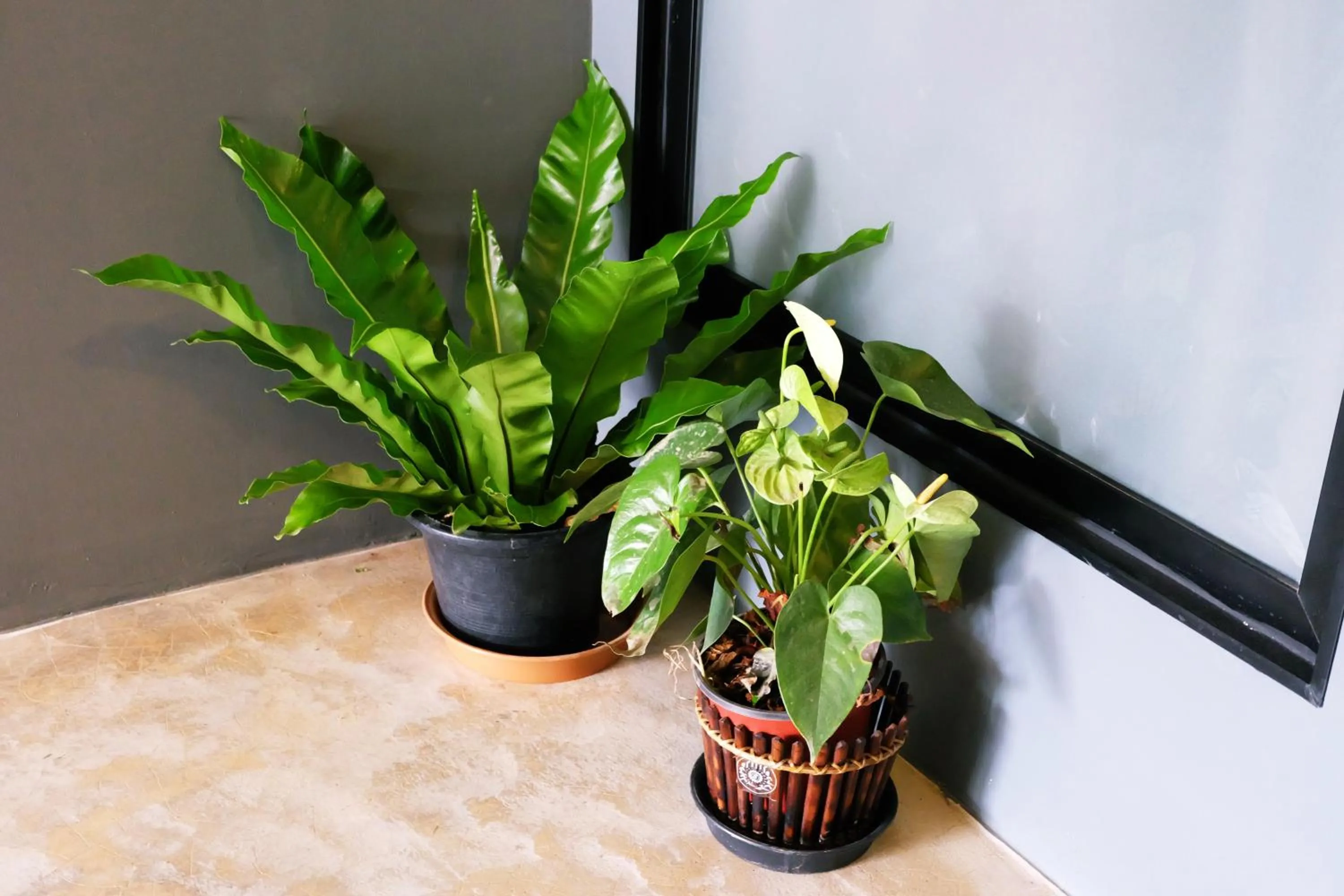 Decorative detail in Chiang Mai Hipster Mini Hotel