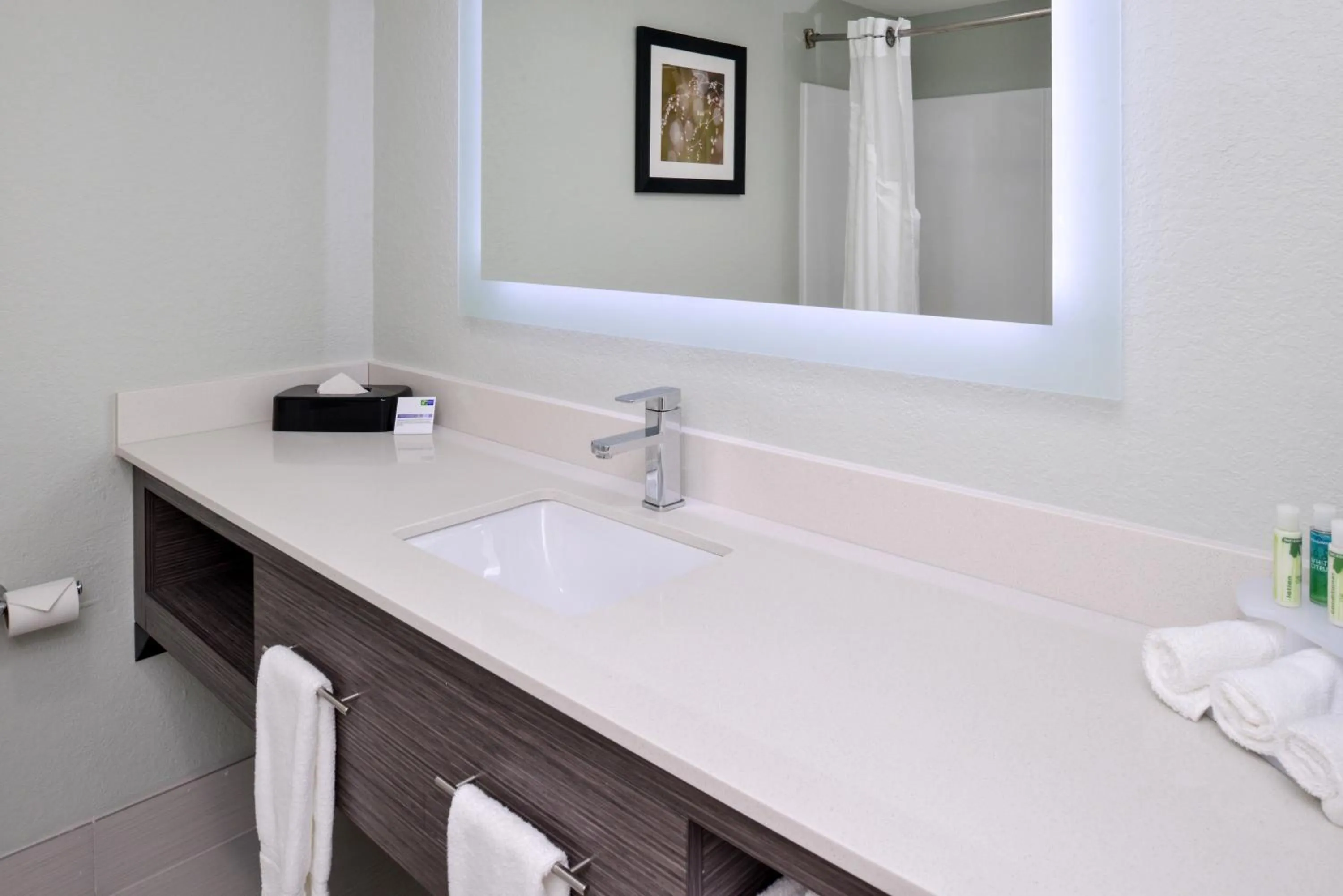 Bathroom in Holiday Inn Express Hotel & Suites Bonita Springs/Naples by IHG