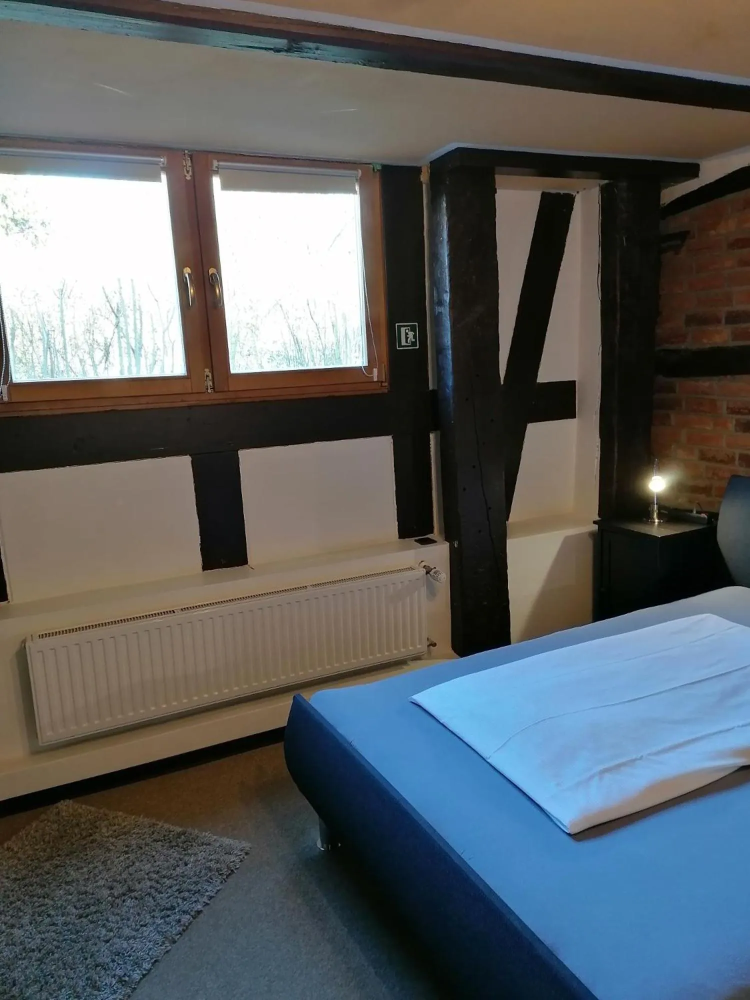 View (from property/room) in Pension Riverside in Leverkusen Hitdorf am Rhein - Zentral an der A1 und 59