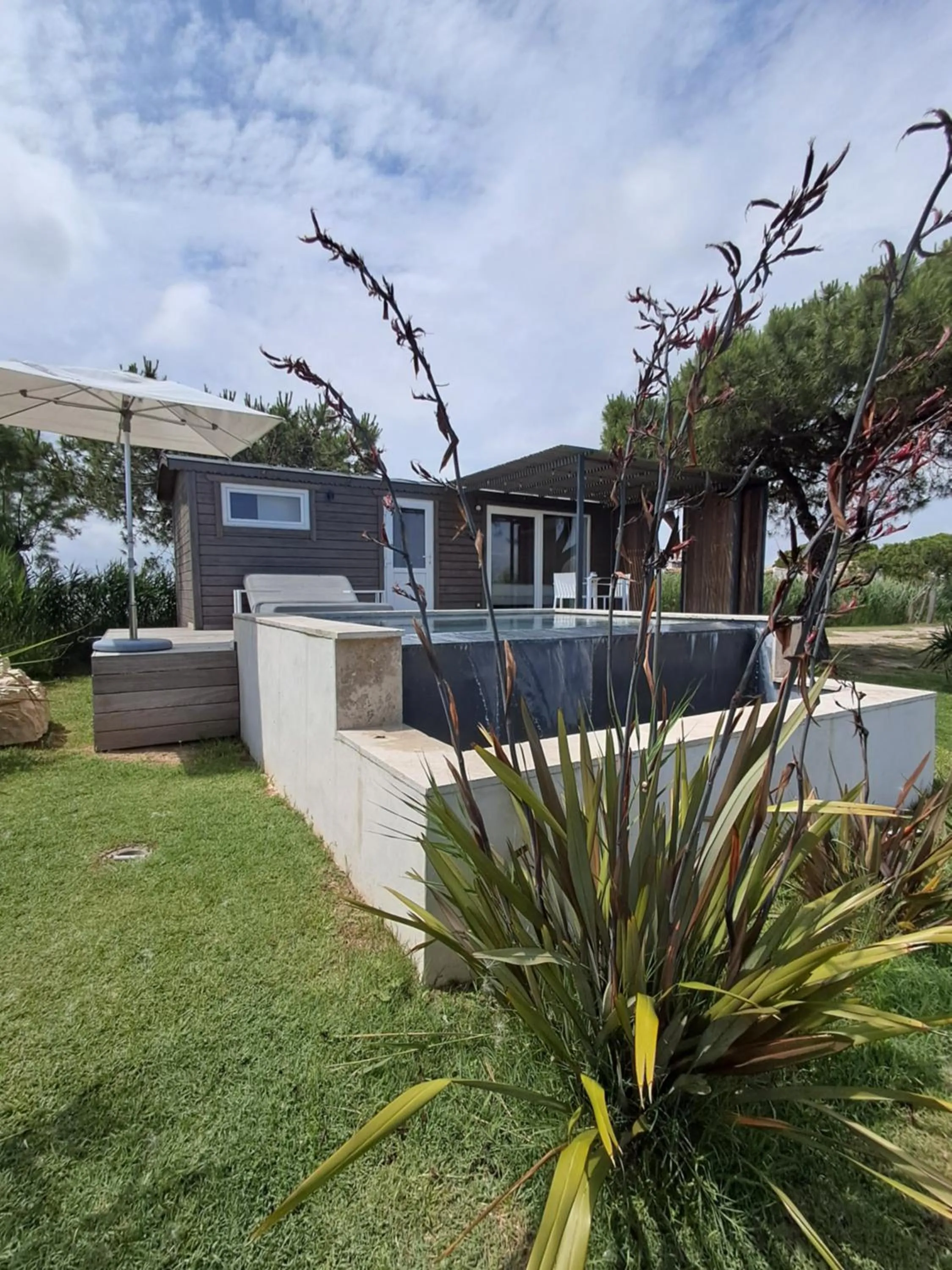 Natural landscape in Mas des Cabidoules