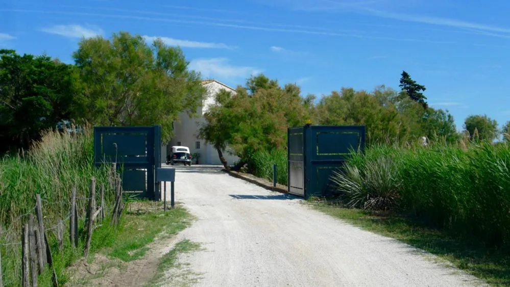 Day in Mas des Cabidoules