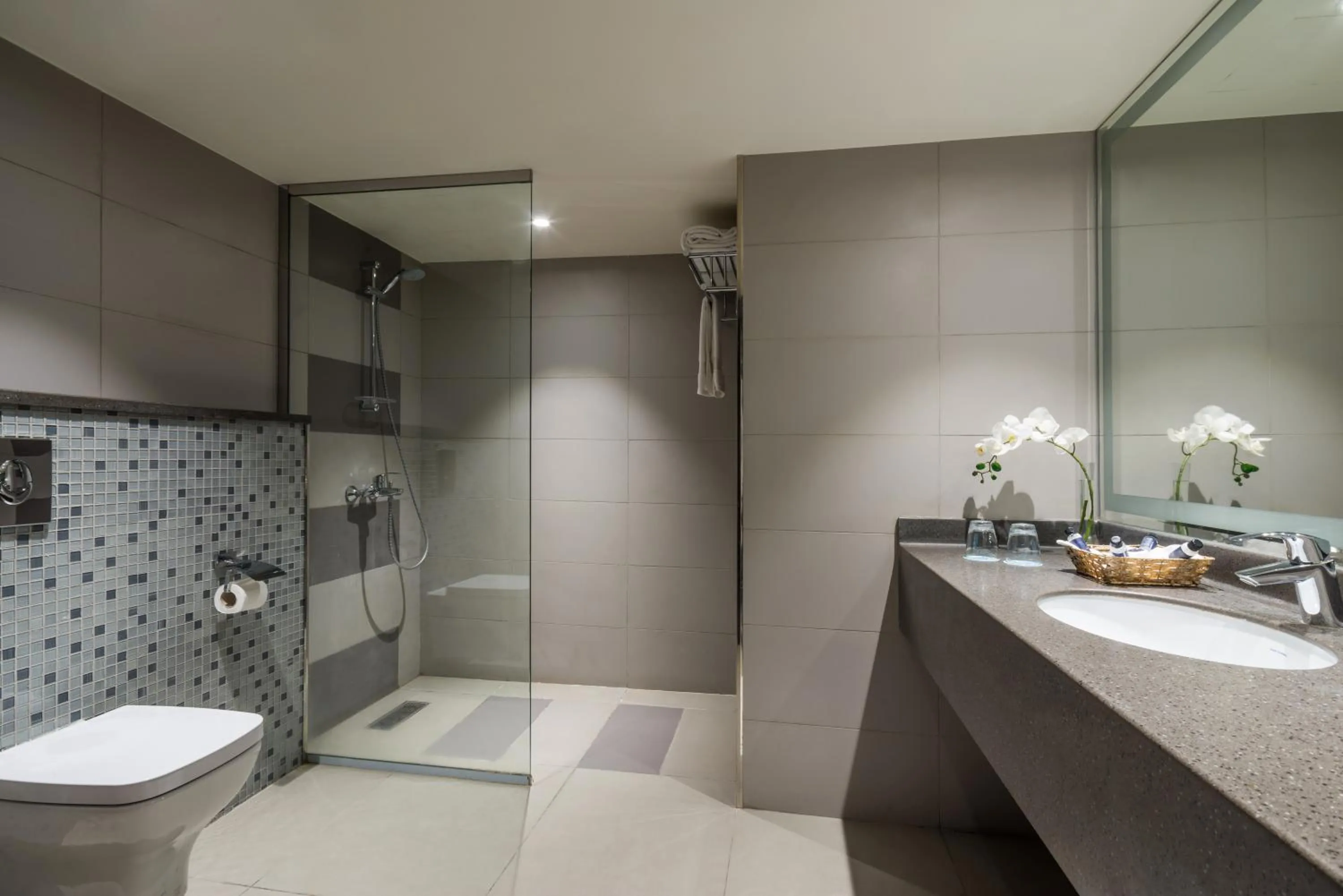 Bathroom in Mena Andalusia Riyadh