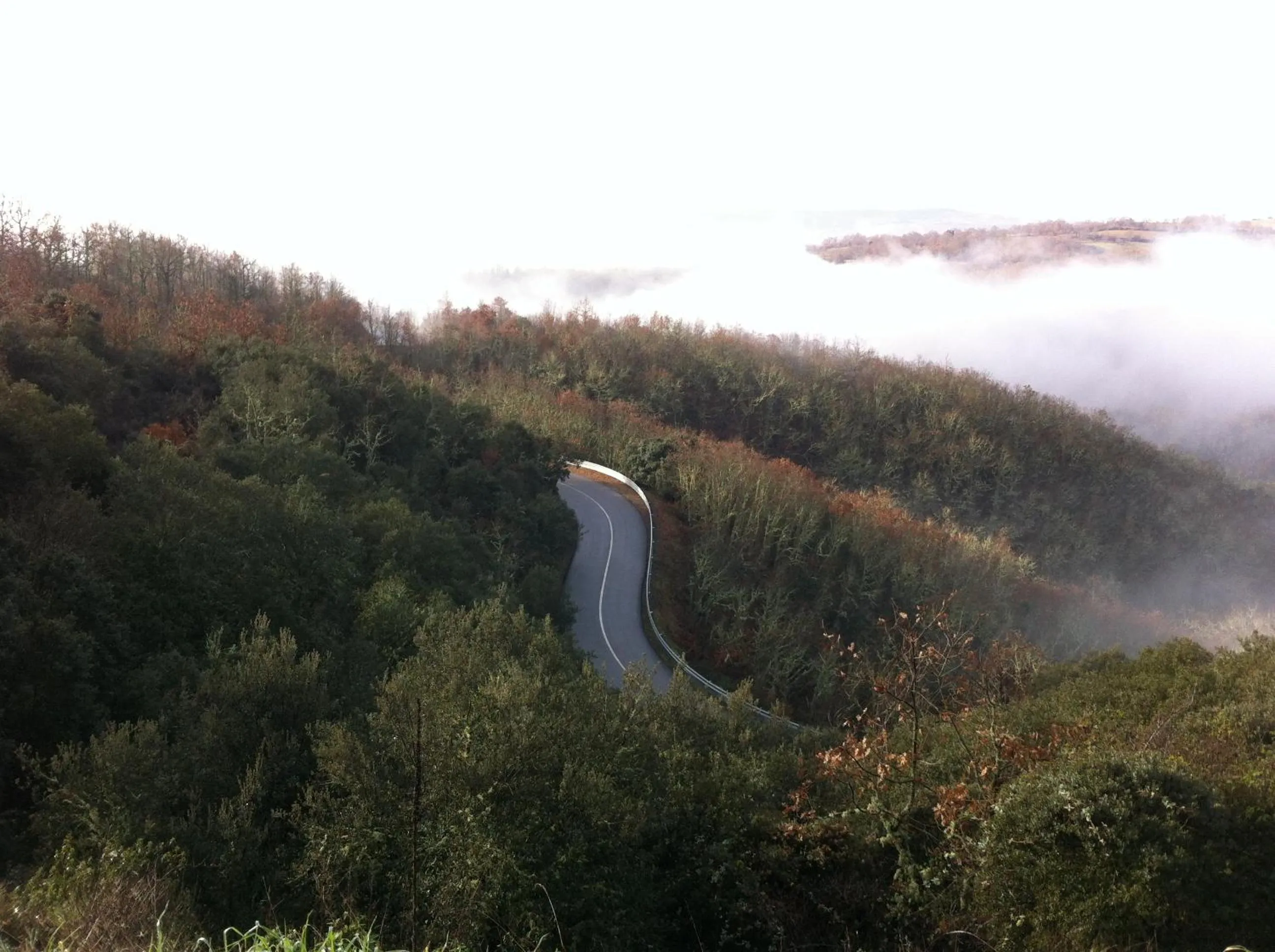 Natural landscape in Candeias do Souto