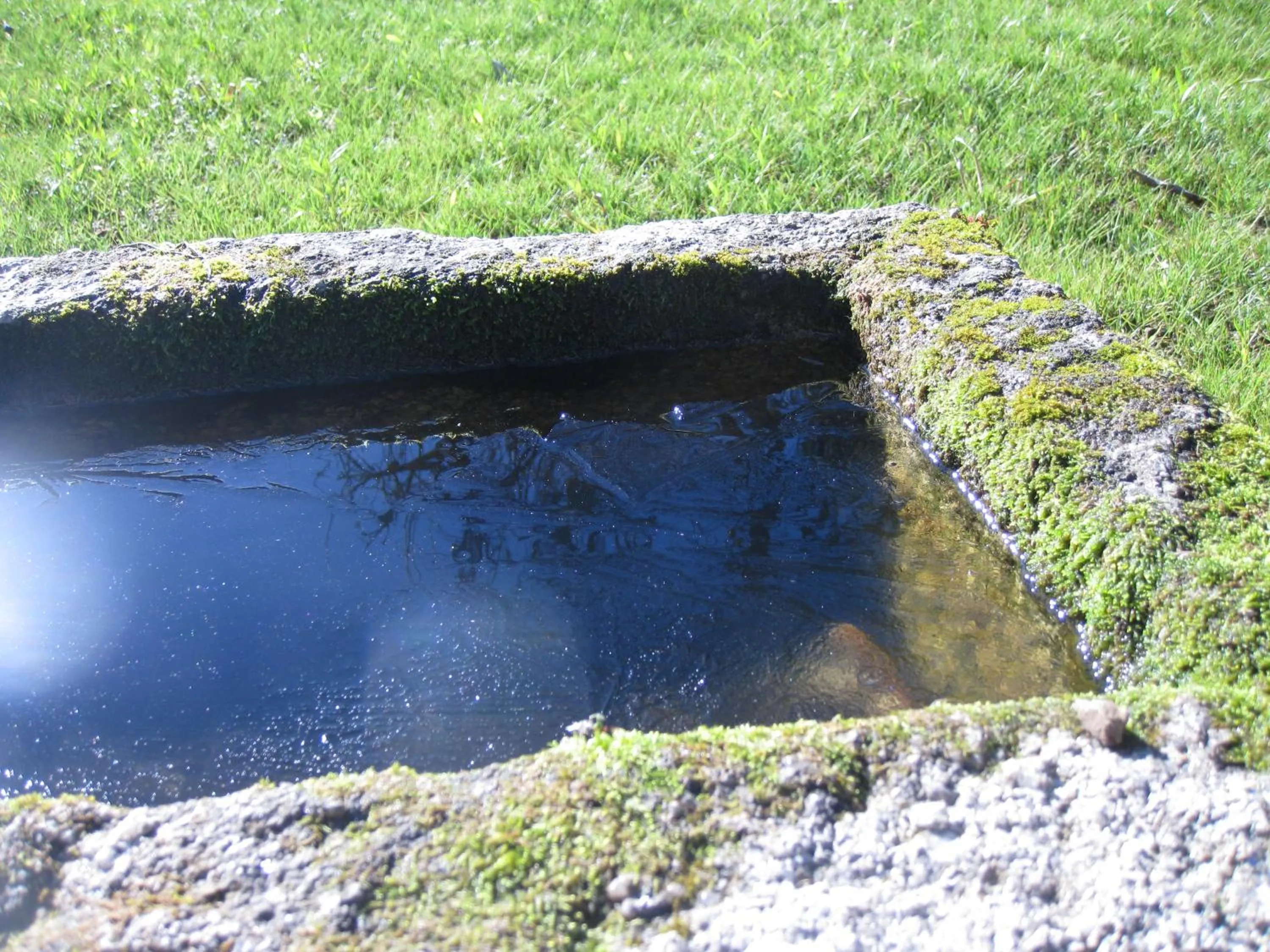 Garden in Candeias do Souto