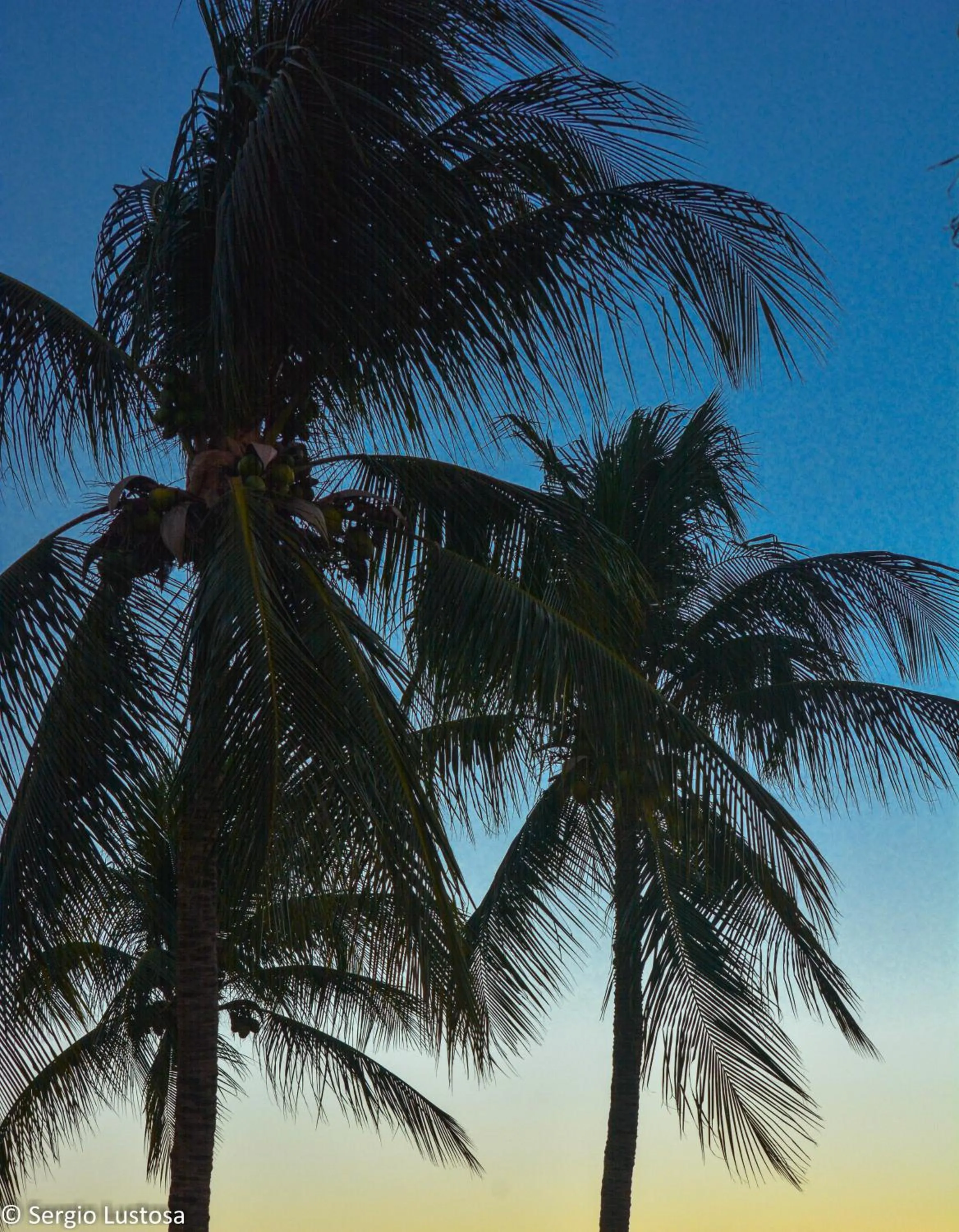 Fiesta Bahiana Club Hotel