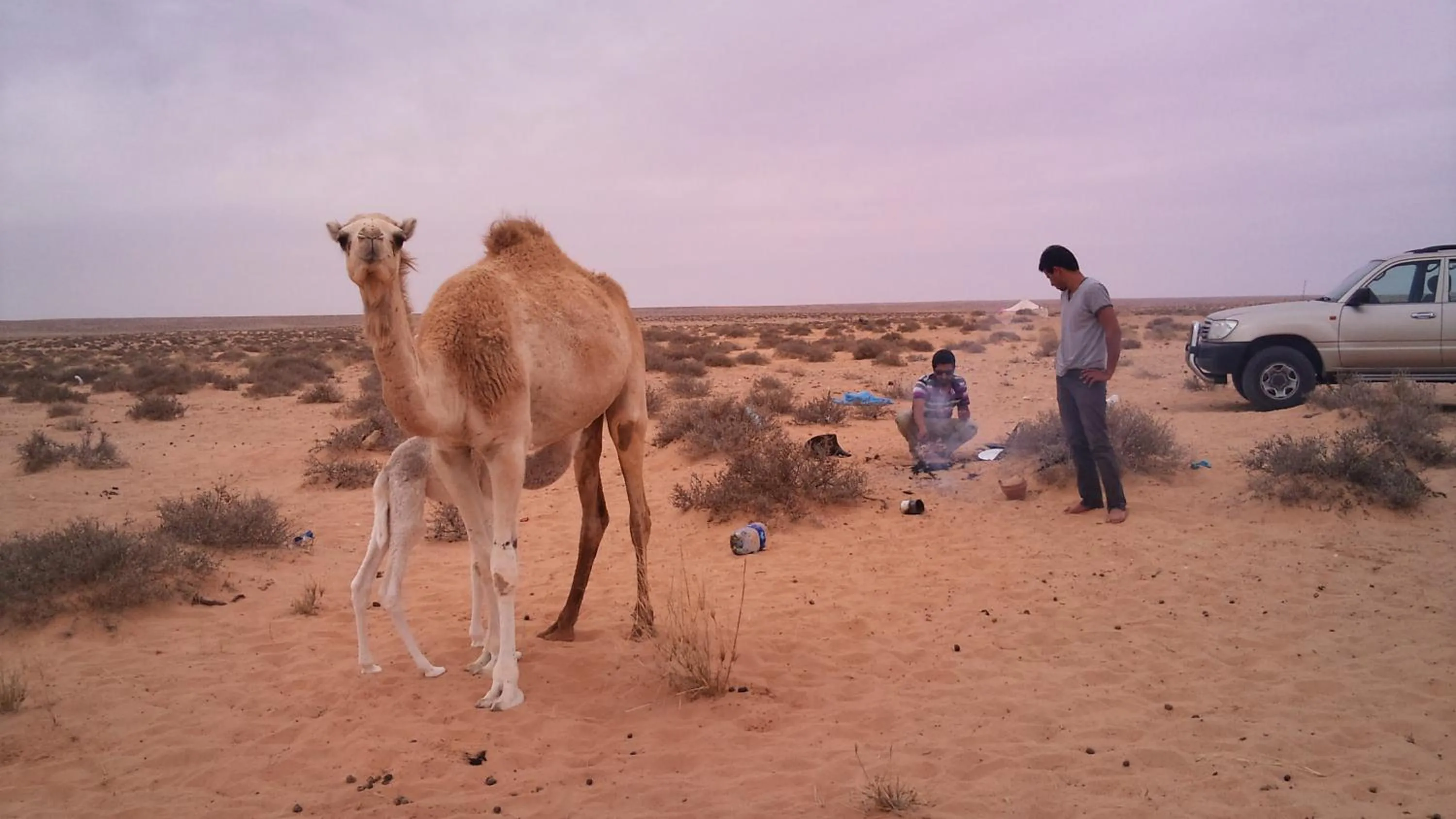 Day in Boutique Hôtel Albaraka