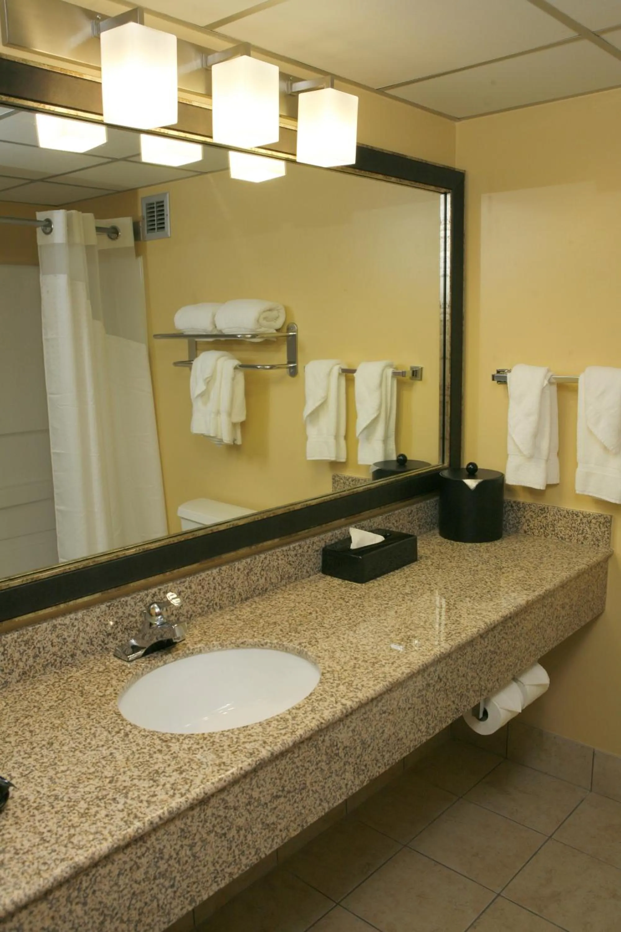 Bathroom in Best Western Plus Goldsboro
