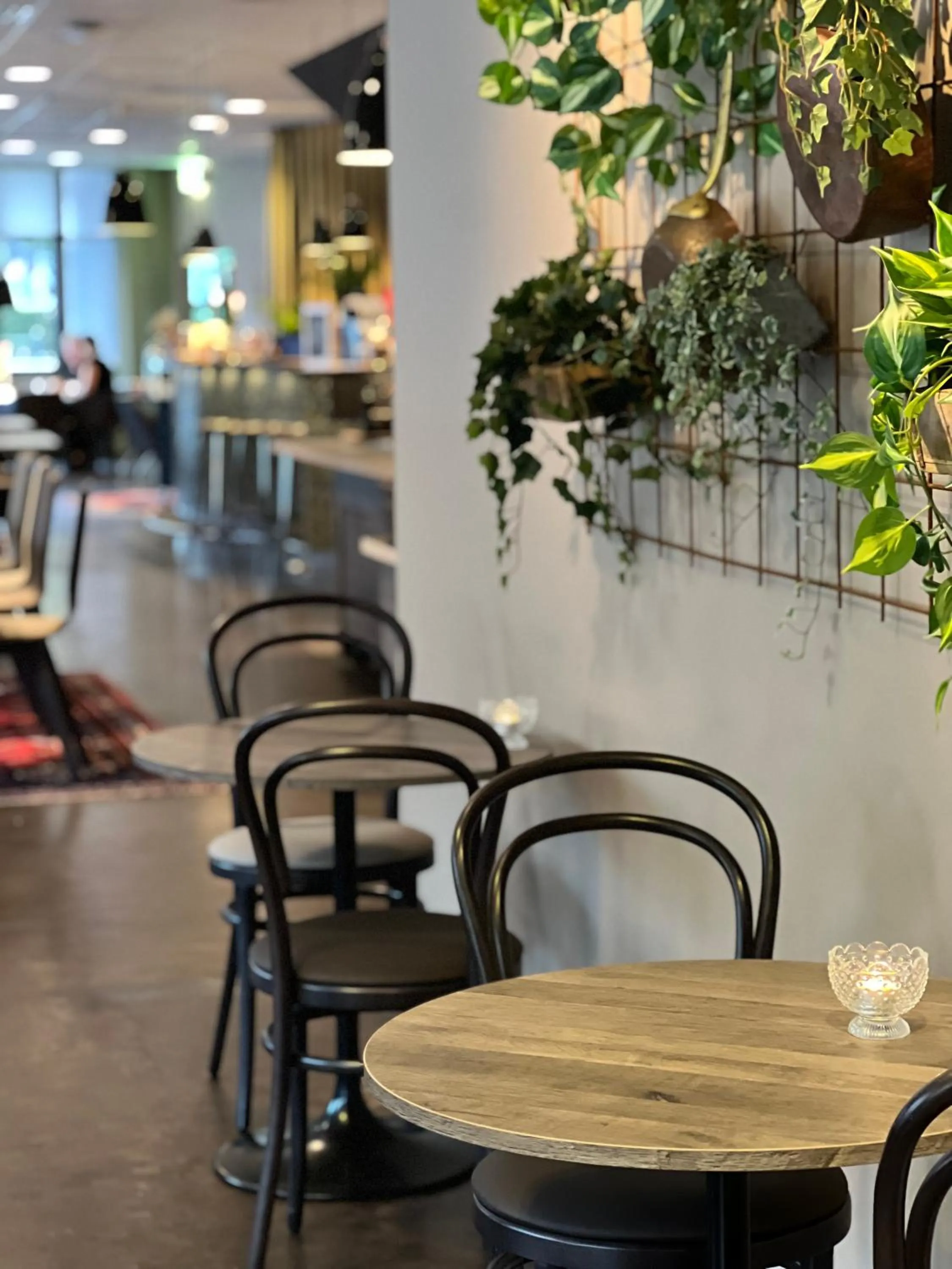 Restaurant/places to eat in Quality Hotel Royal Corner