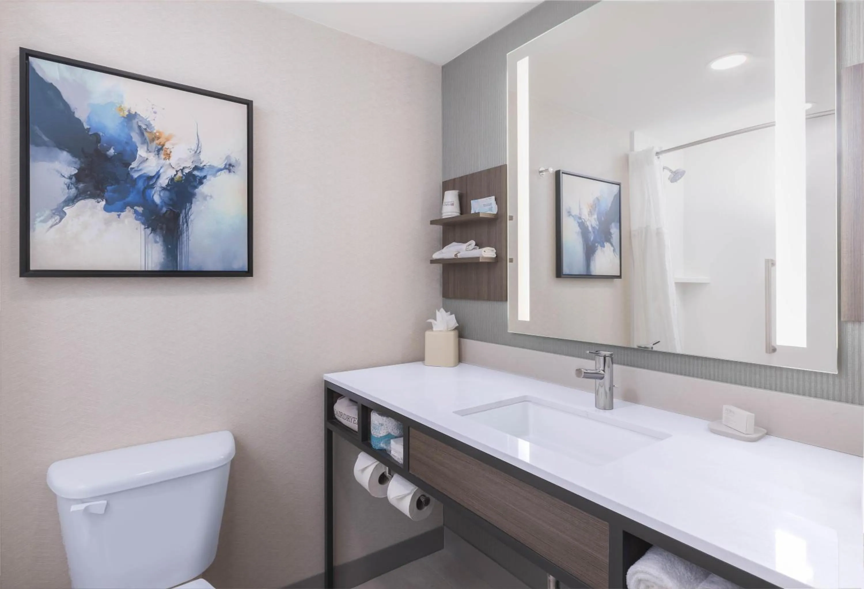 Bathroom in Hilton Garden Inn Des Moines/Urbandale