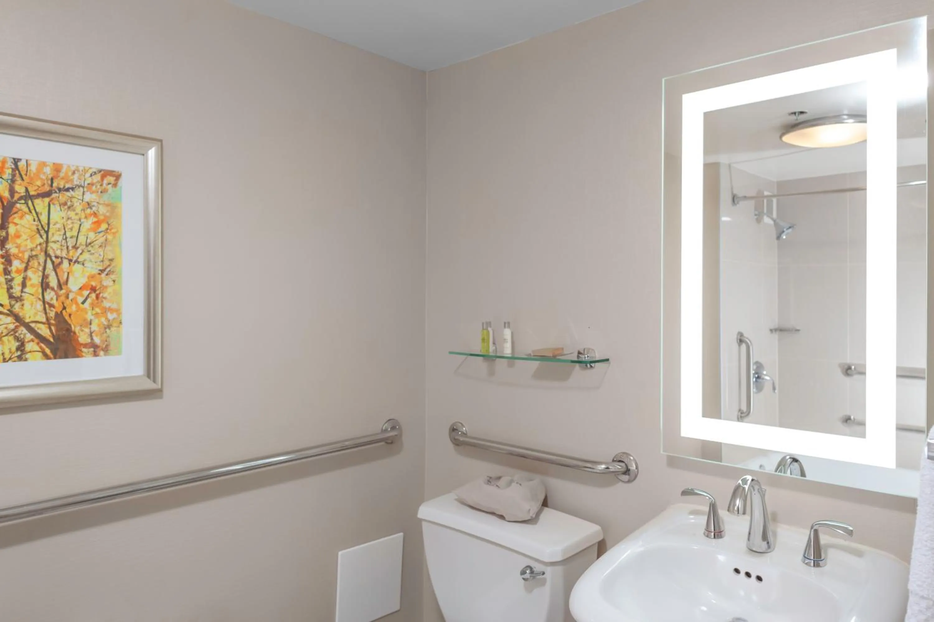 Toilet in DoubleTree by Hilton Kansas City - Overland Park