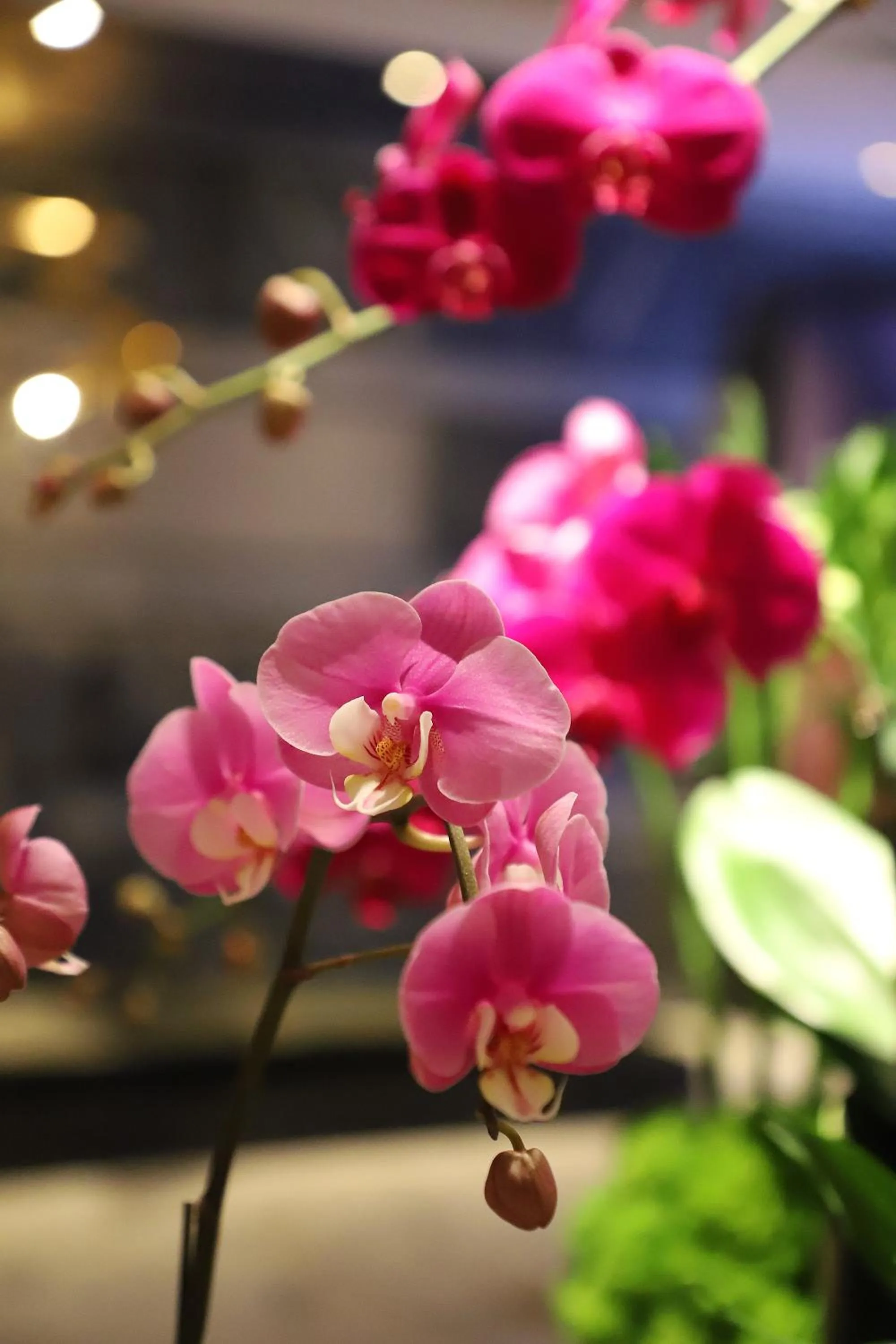 Lobby or reception in Renaissance Beijing Capital Hotel