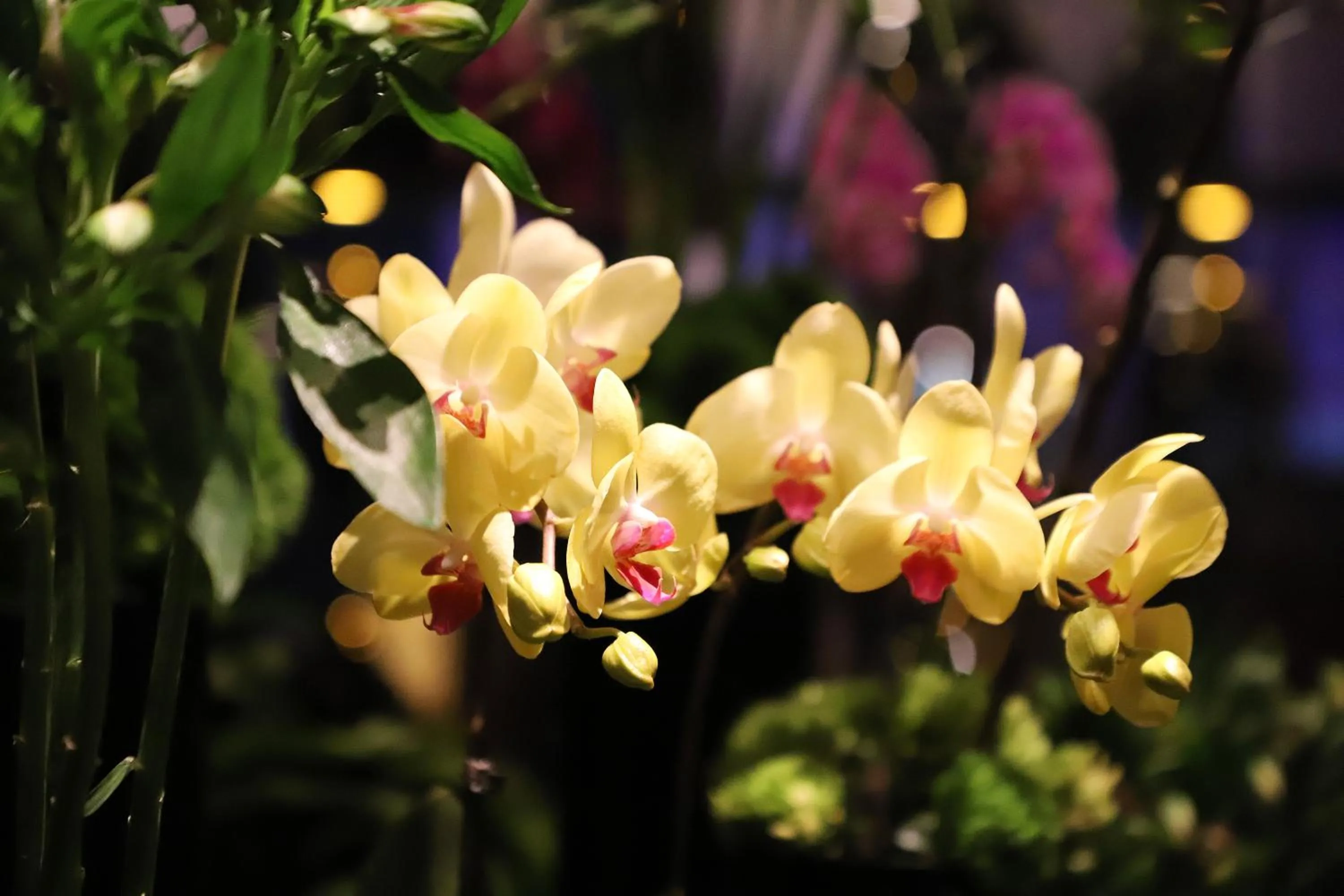 Lobby or reception in Renaissance Beijing Capital Hotel