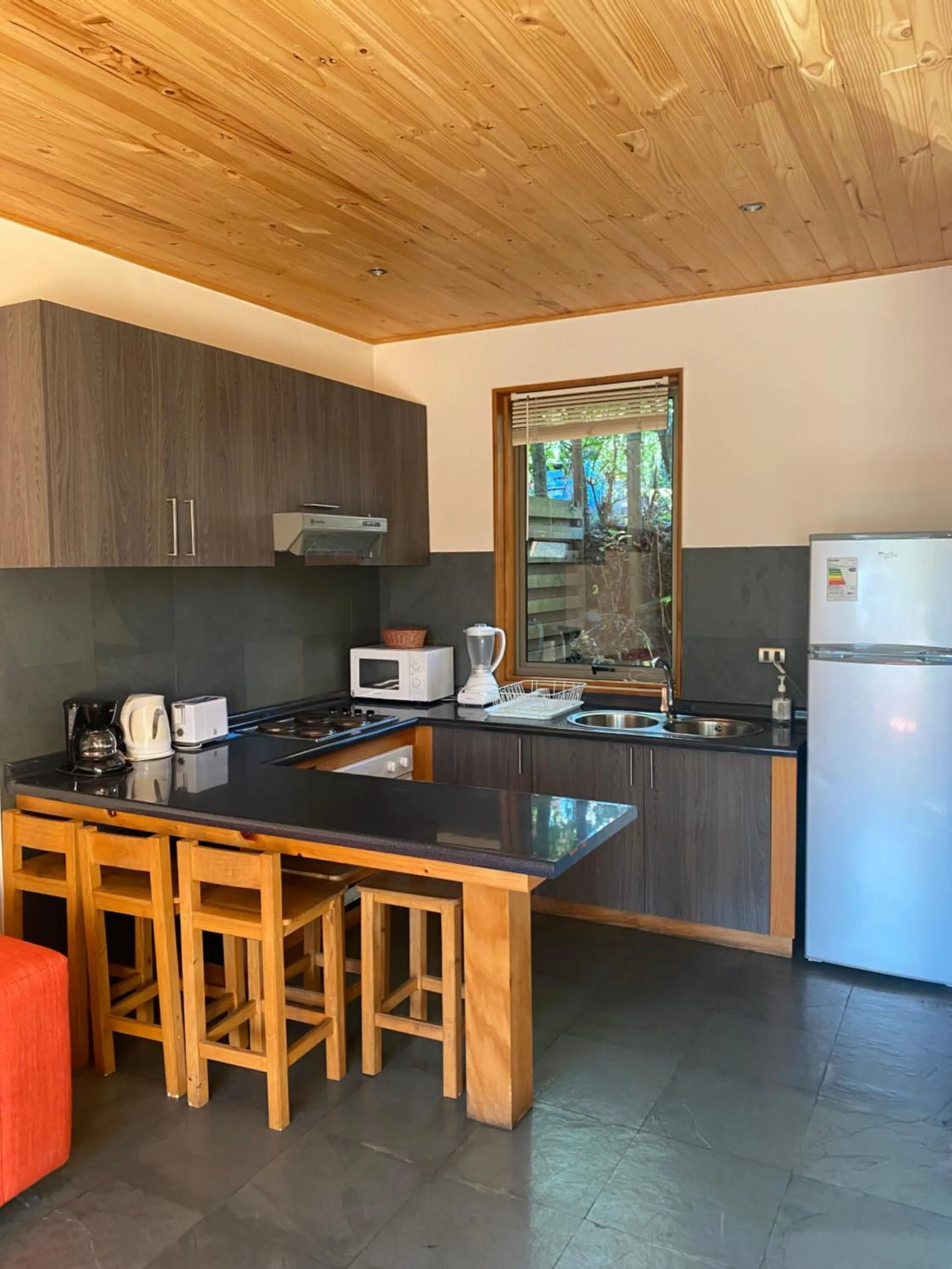 Kitchen or kitchenette in Loft Pucon