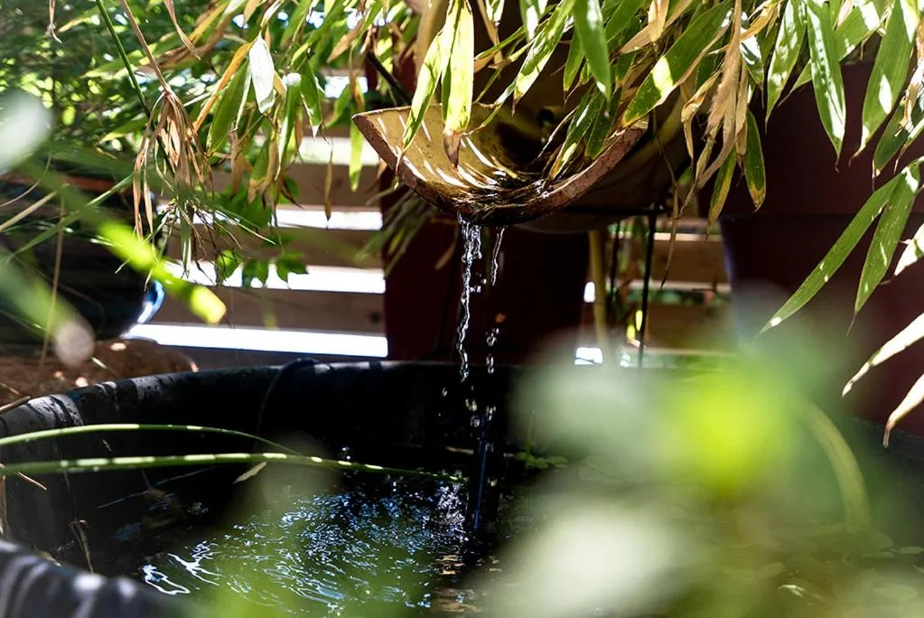 Patio in Logis Hôtel- Hôtel Restaurant Le Rialto