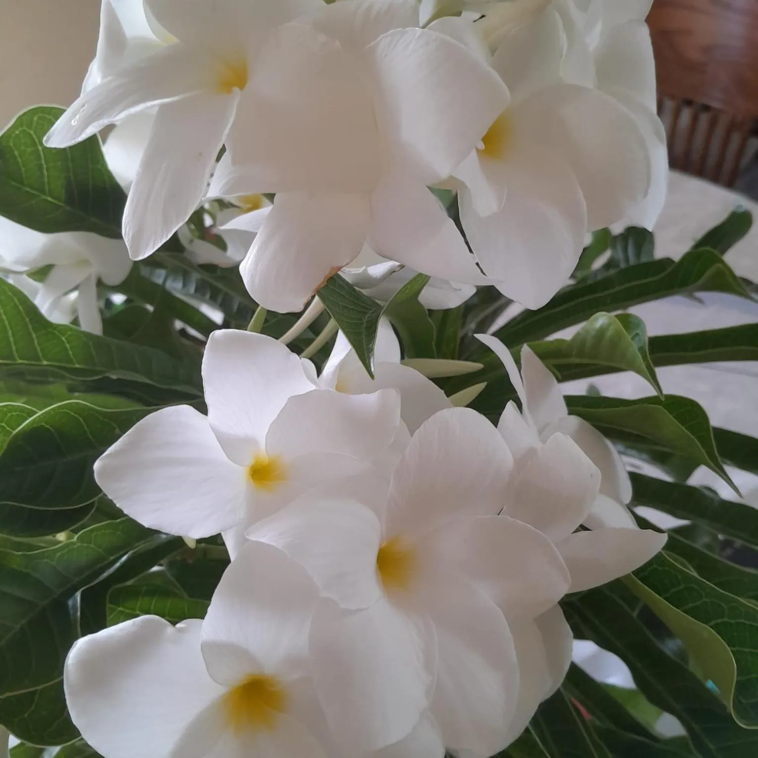 Decorative detail in Melrose Beach Apartments Inc