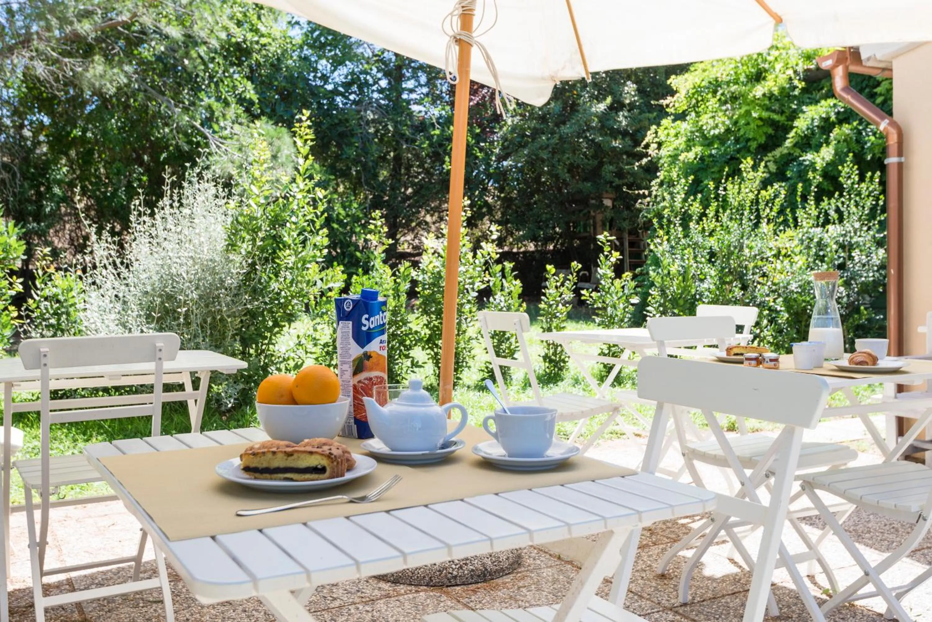 Garden view in Fattoria Pian Di Rocca