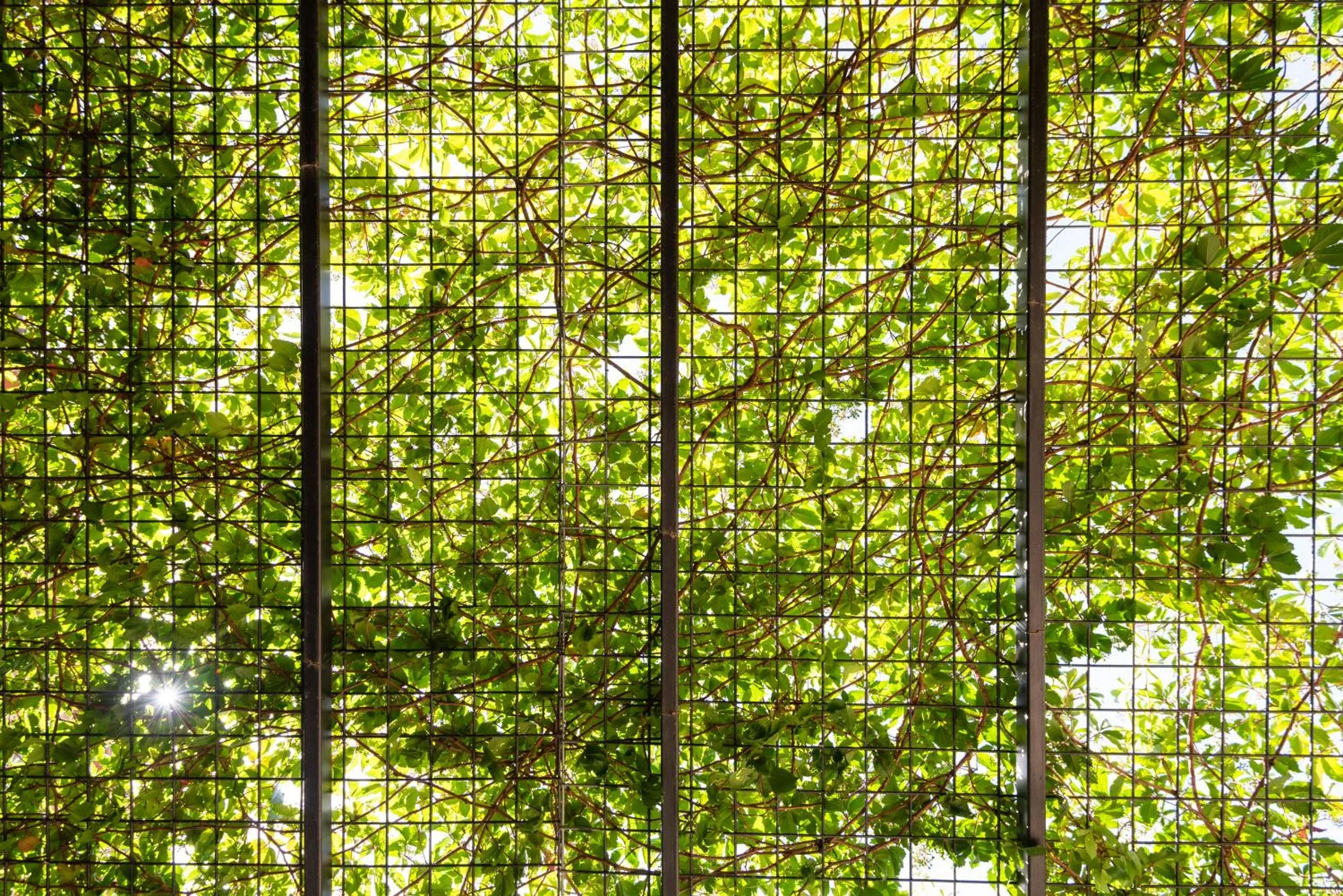 Patio in Fattoria Pian Di Rocca