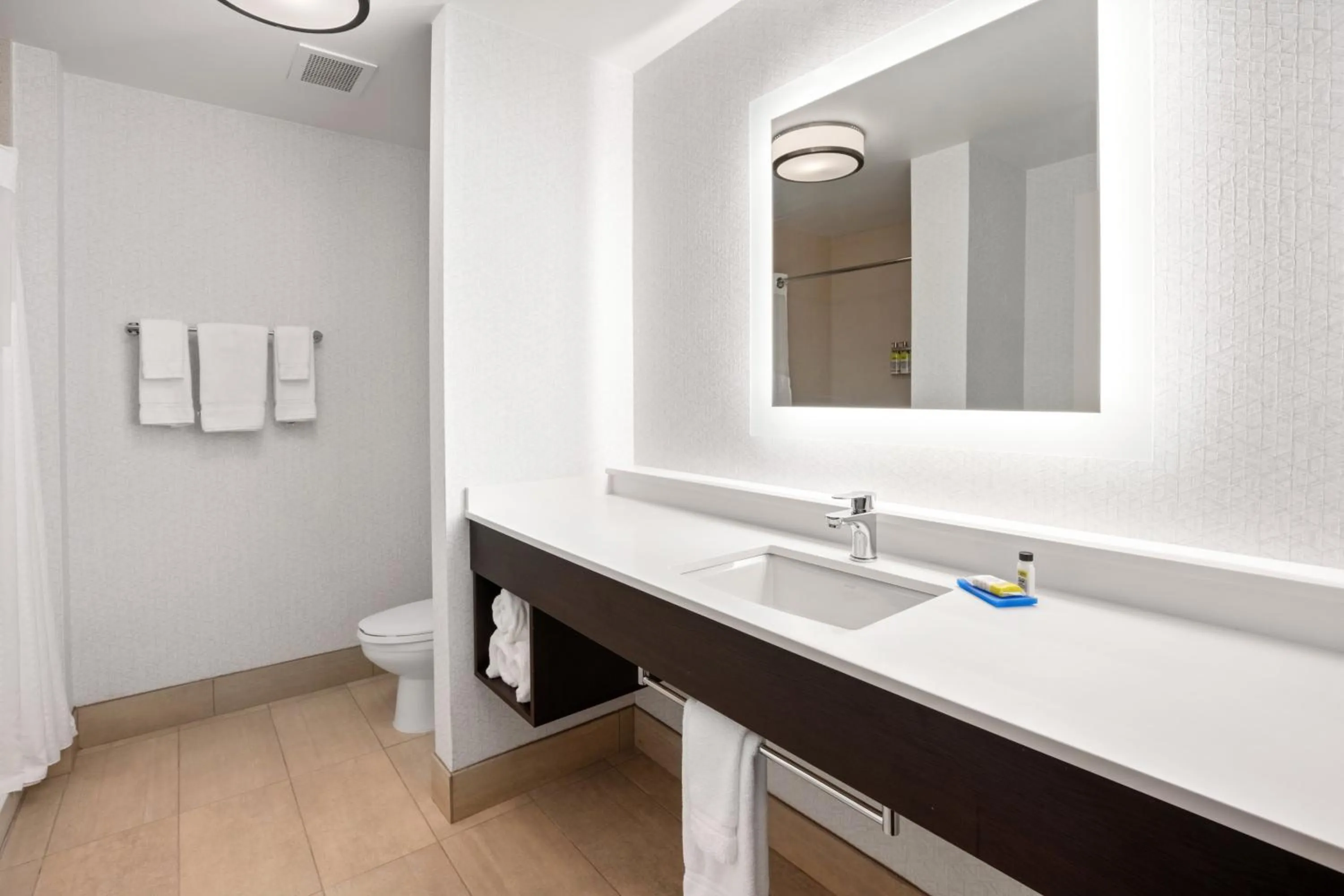 Bathroom in Holiday Inn Express Hotel & Suites Marysville by IHG