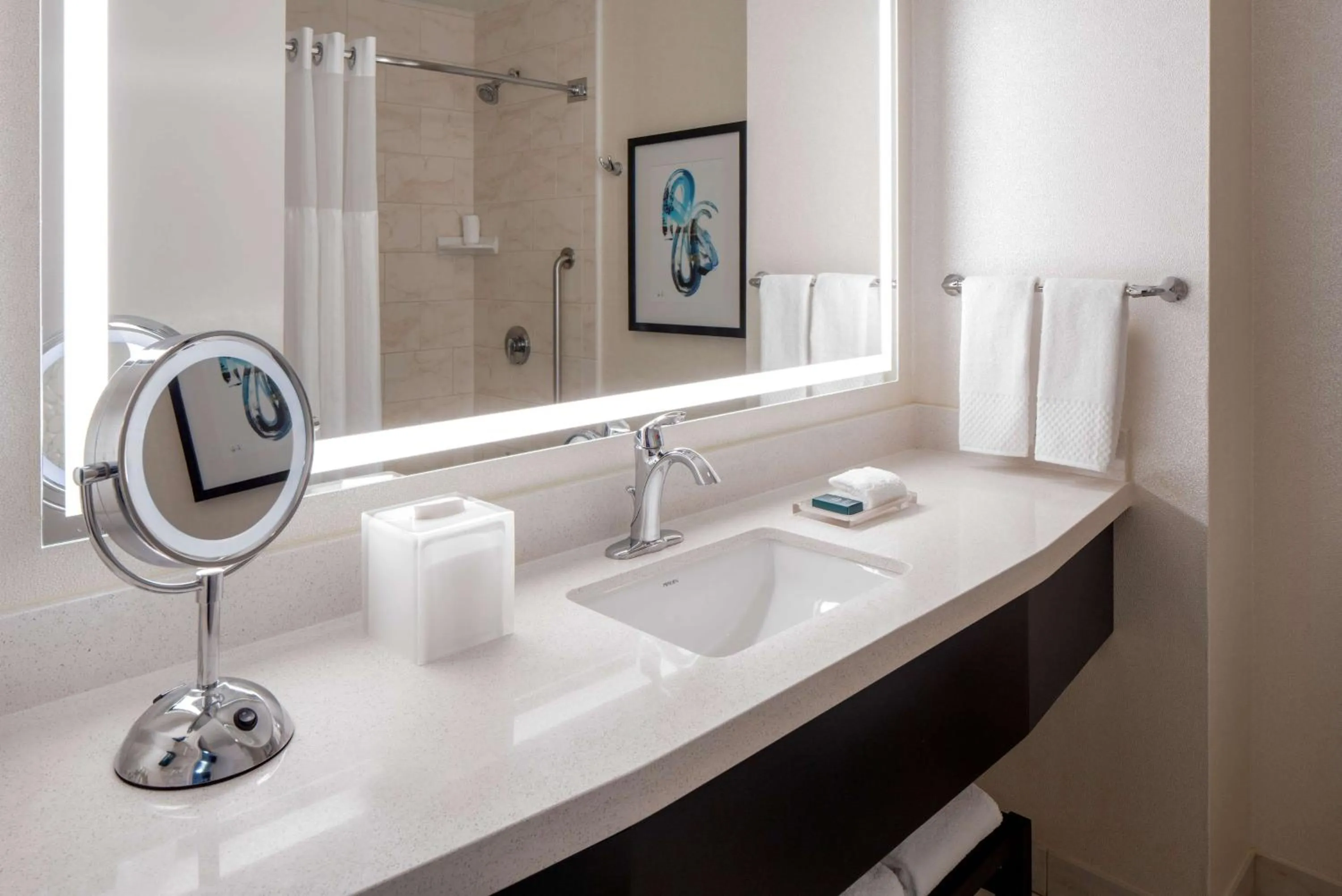 Bathroom in Hilton Shreveport