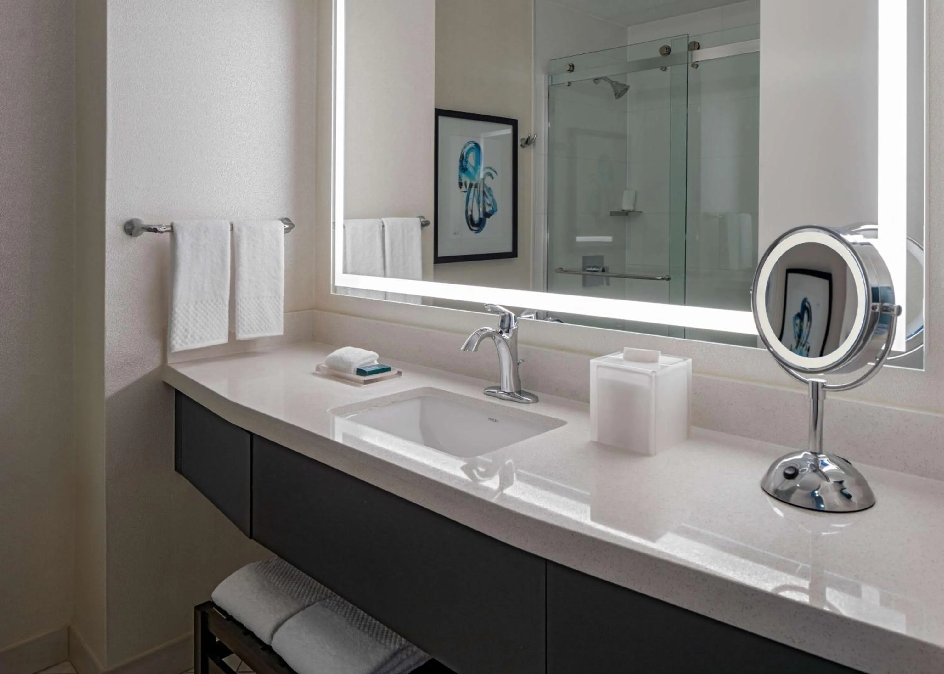 Bathroom in Hilton Shreveport