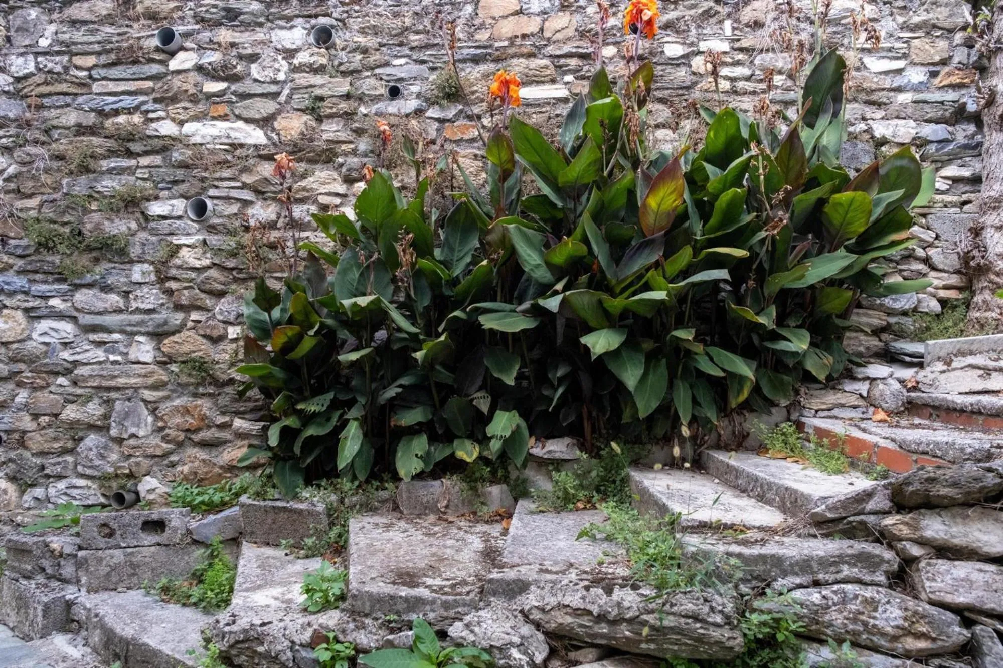 Spring in Archontiko Michael Pelion