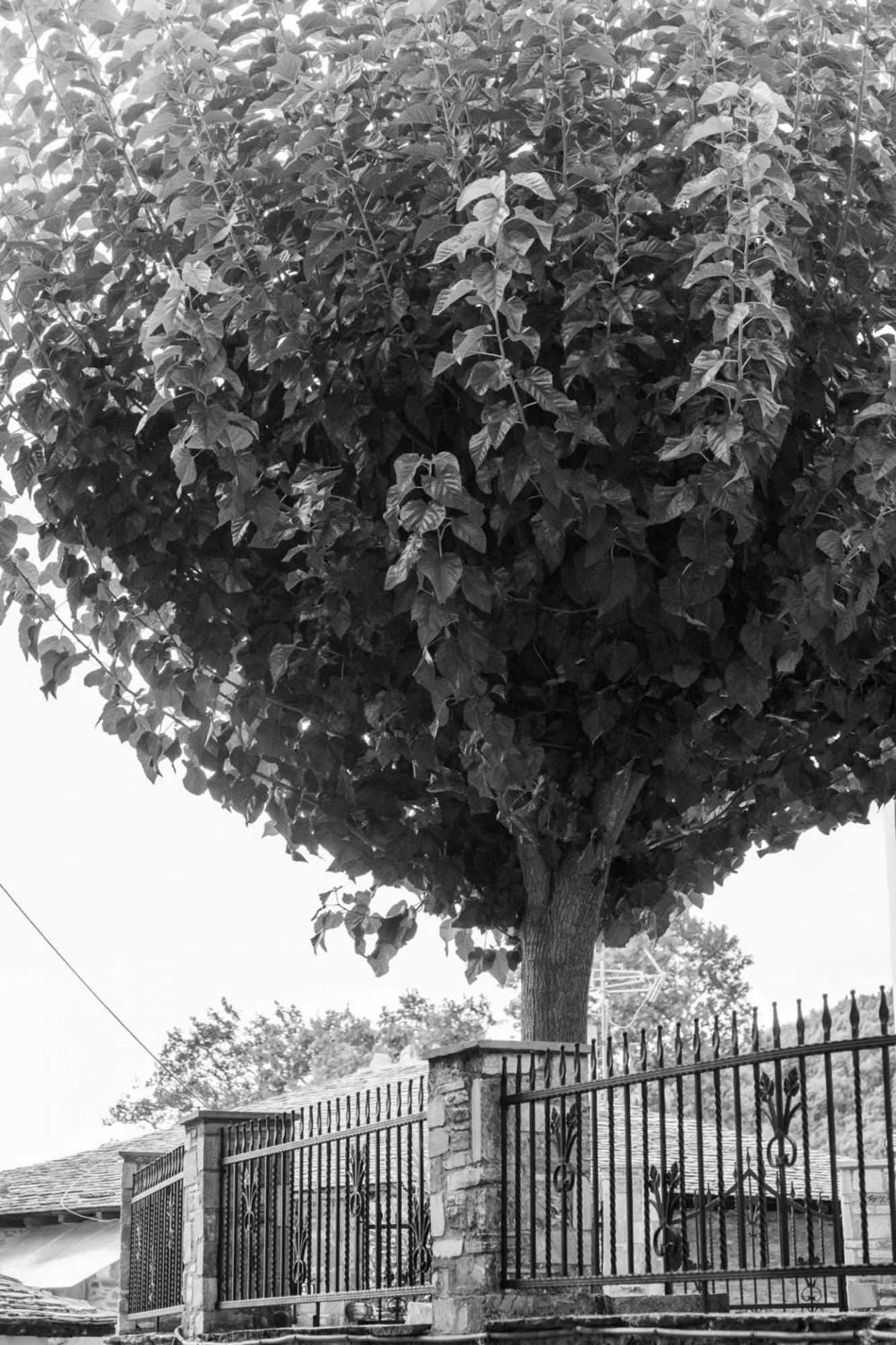 Other in Archontiko Michael Pelion