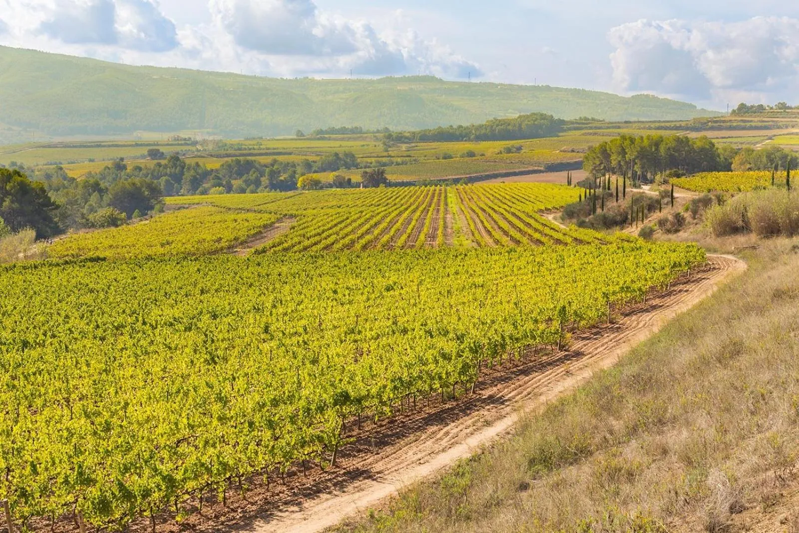 Natural landscape in Masia Can Canyes & Spa