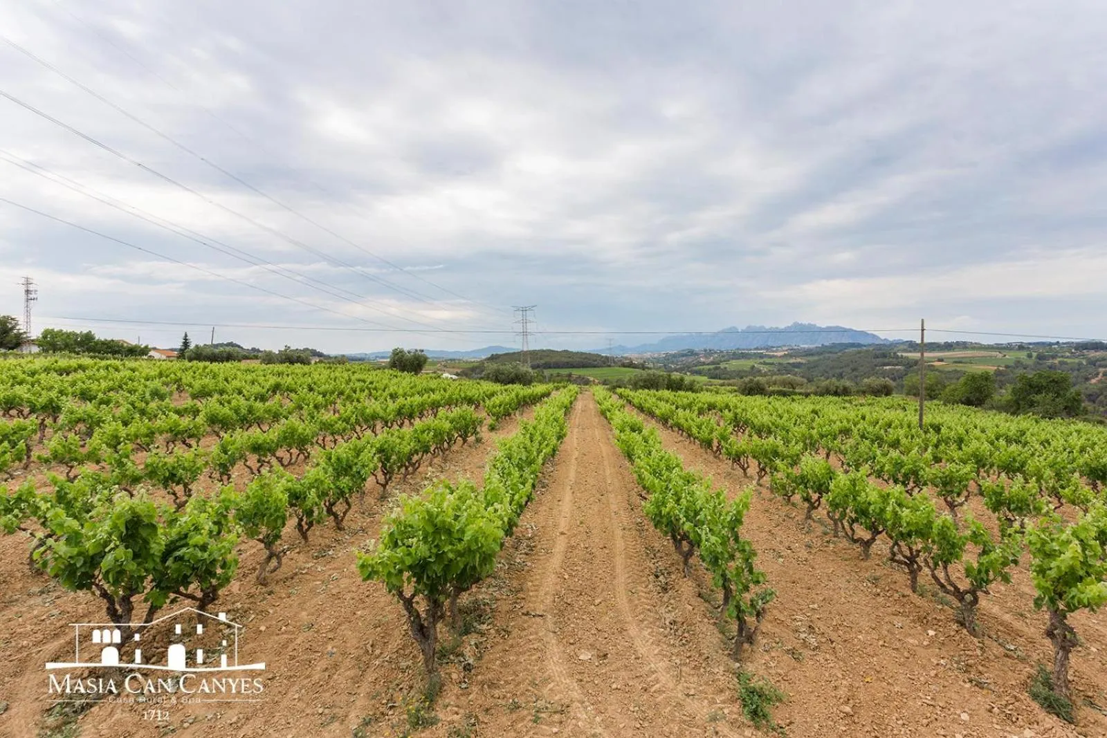 Natural landscape in Masia Can Canyes & Spa