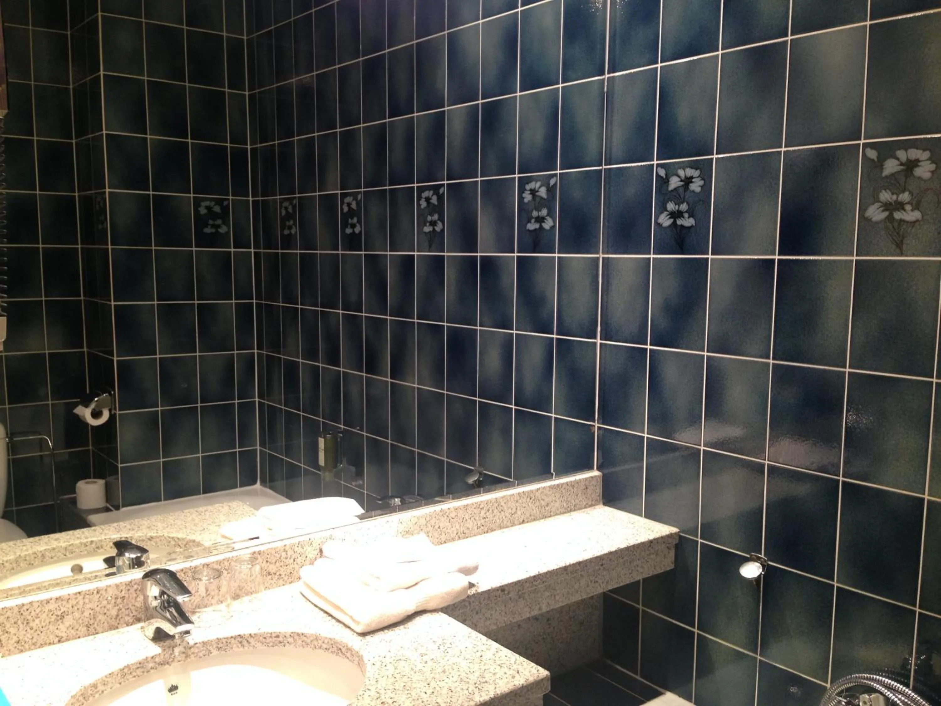 Bathroom in Logis Hôtel-Restaurant Auberge d'Imsthal