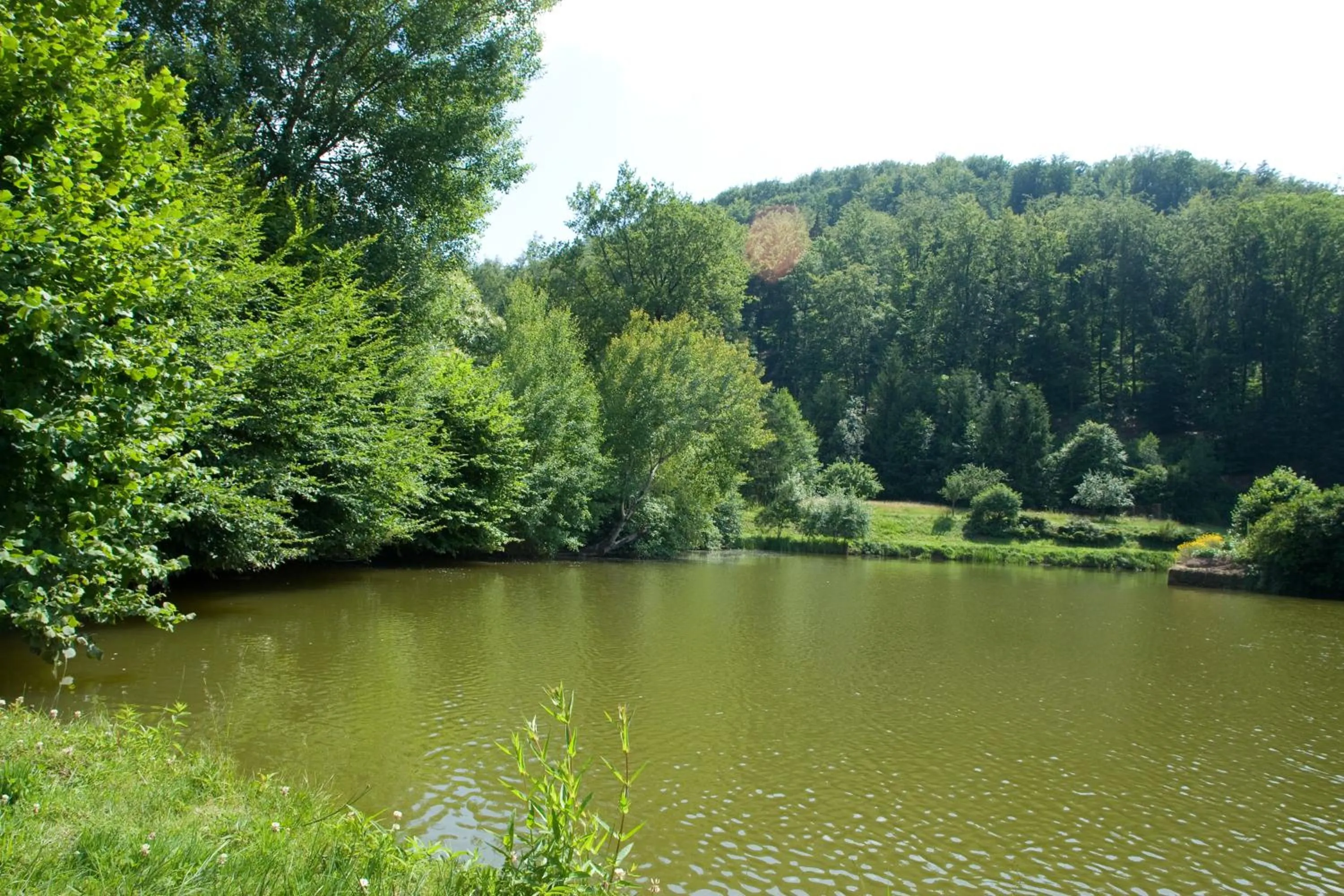 Area and facilities in Logis Hôtel-Restaurant Auberge d'Imsthal