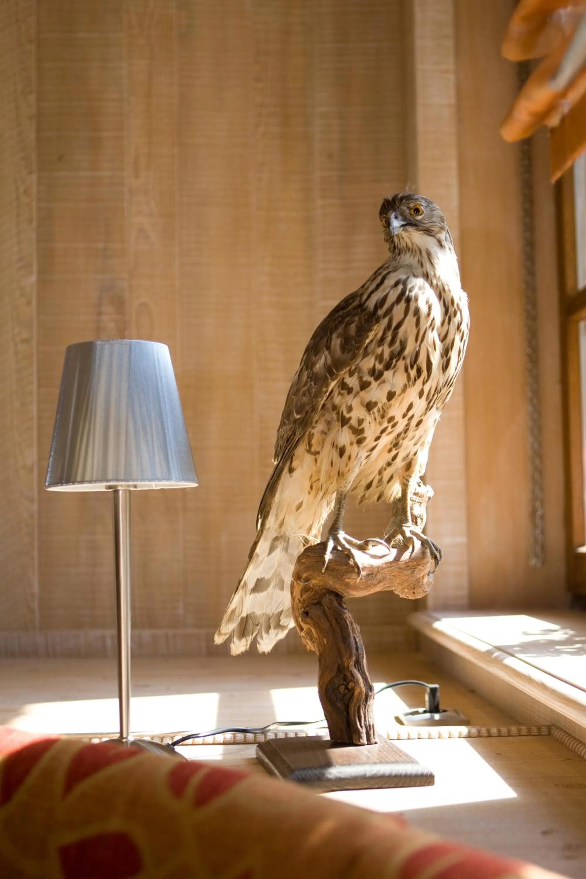 Lobby or reception in Logis Hôtel-Restaurant Auberge d'Imsthal