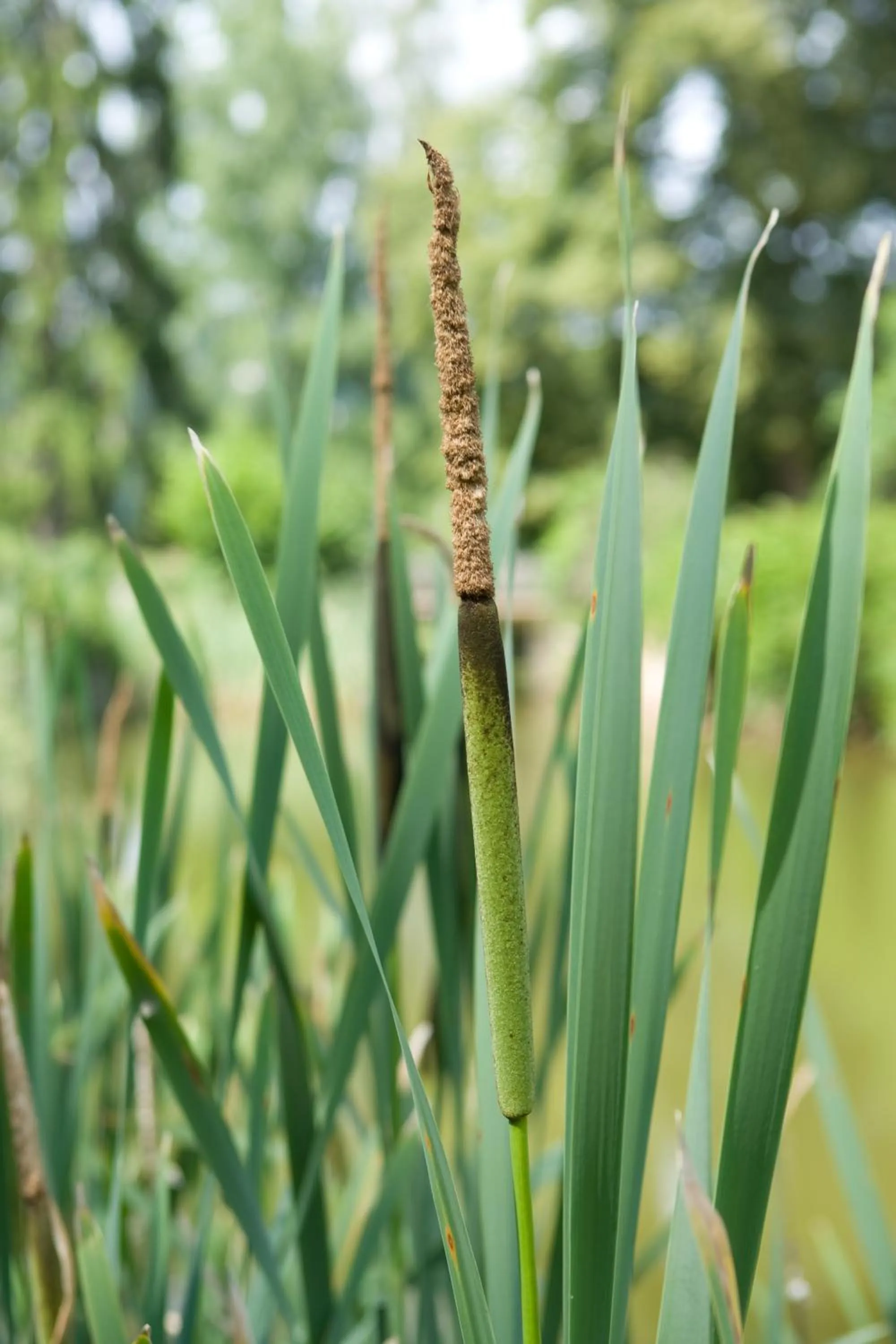 Facade/entrance in Logis Hôtel-Restaurant Auberge d'Imsthal