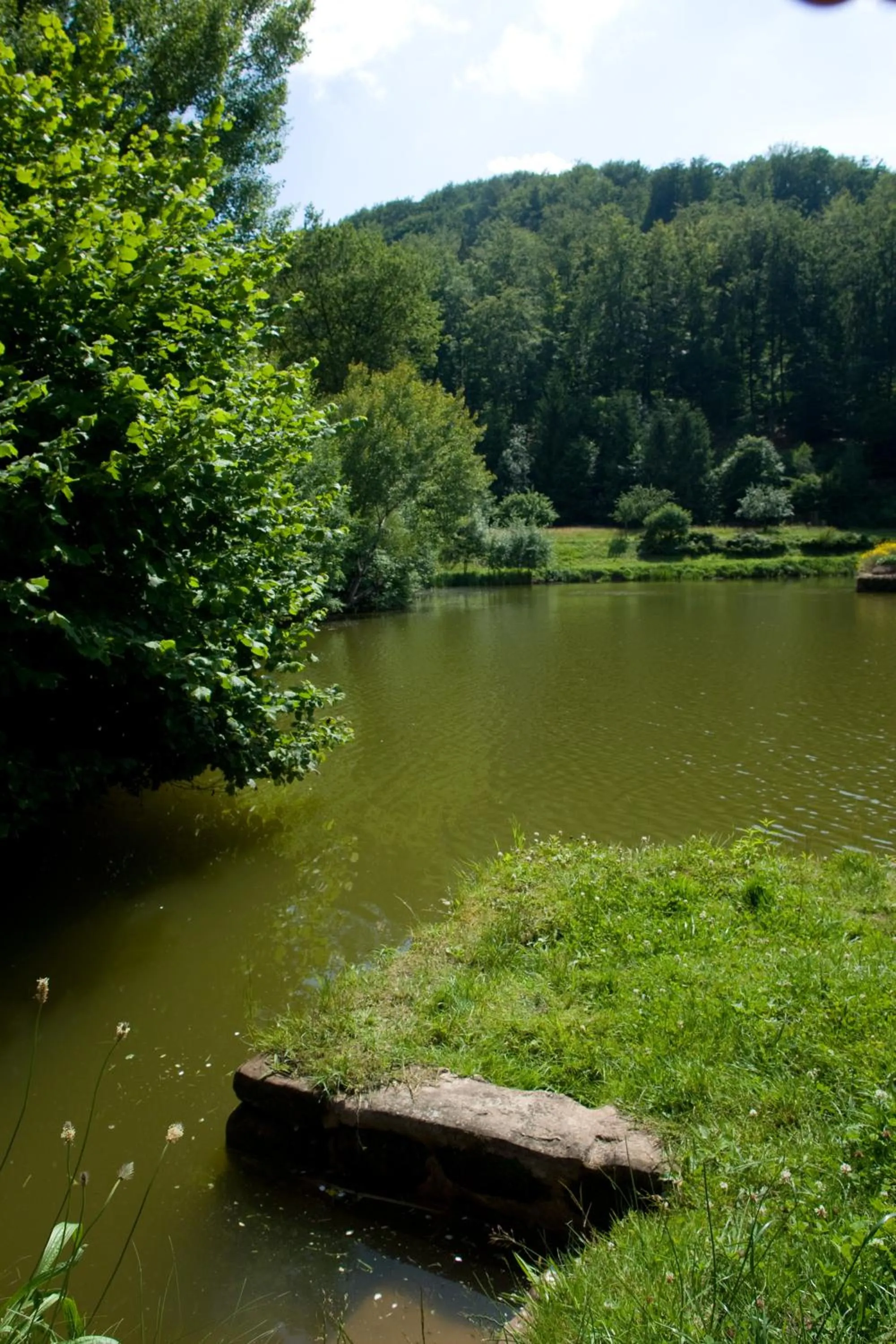 Facade/entrance in Logis Hôtel-Restaurant Auberge d'Imsthal