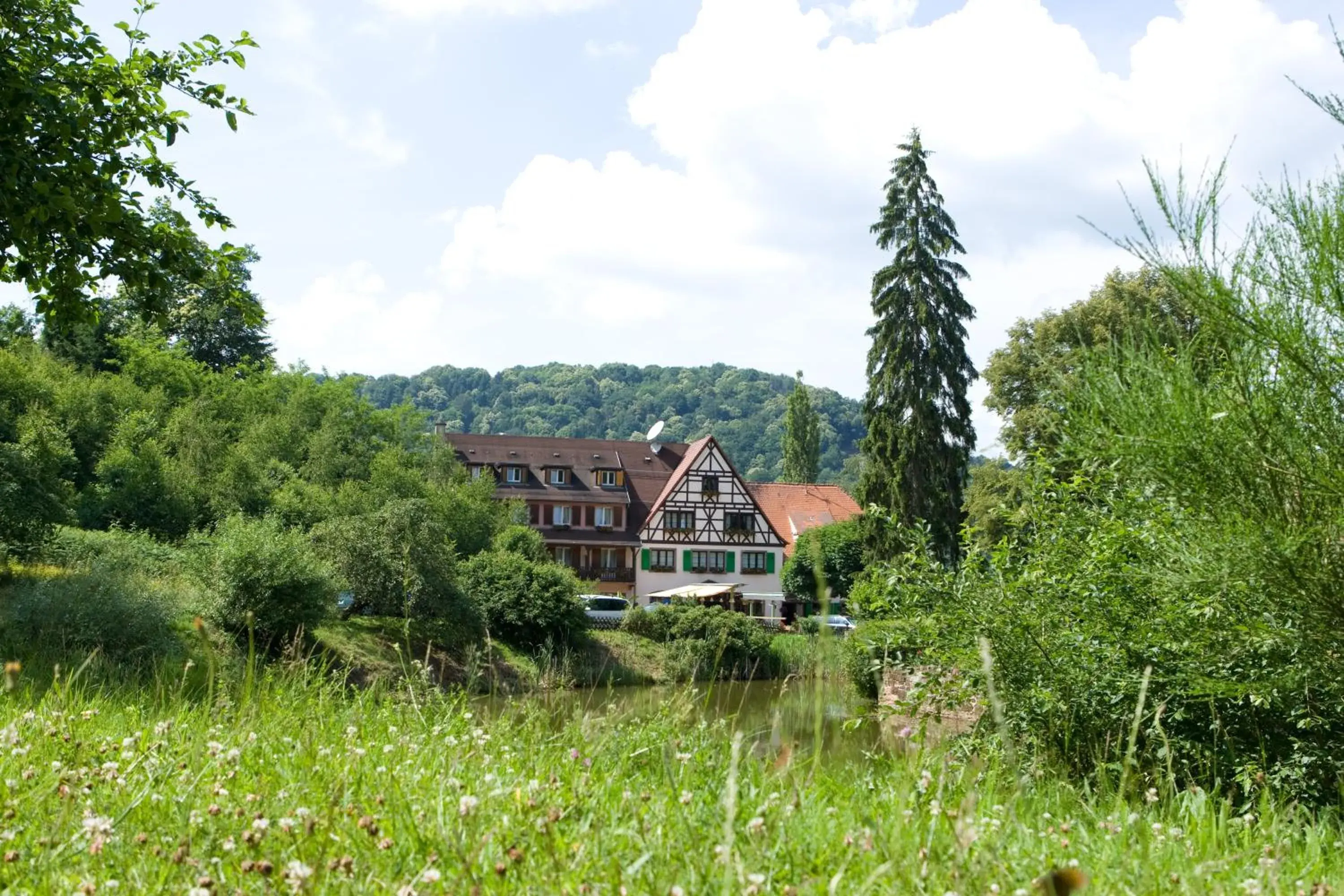Logis Hôtel-Restaurant Auberge d'Imsthal Logis Hôtel-Restaurant Auberge d'Imsthal