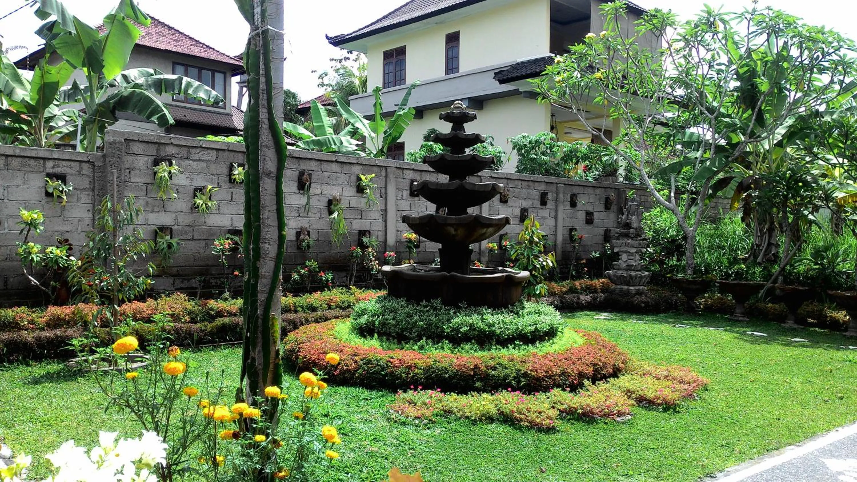 Garden in Muka House