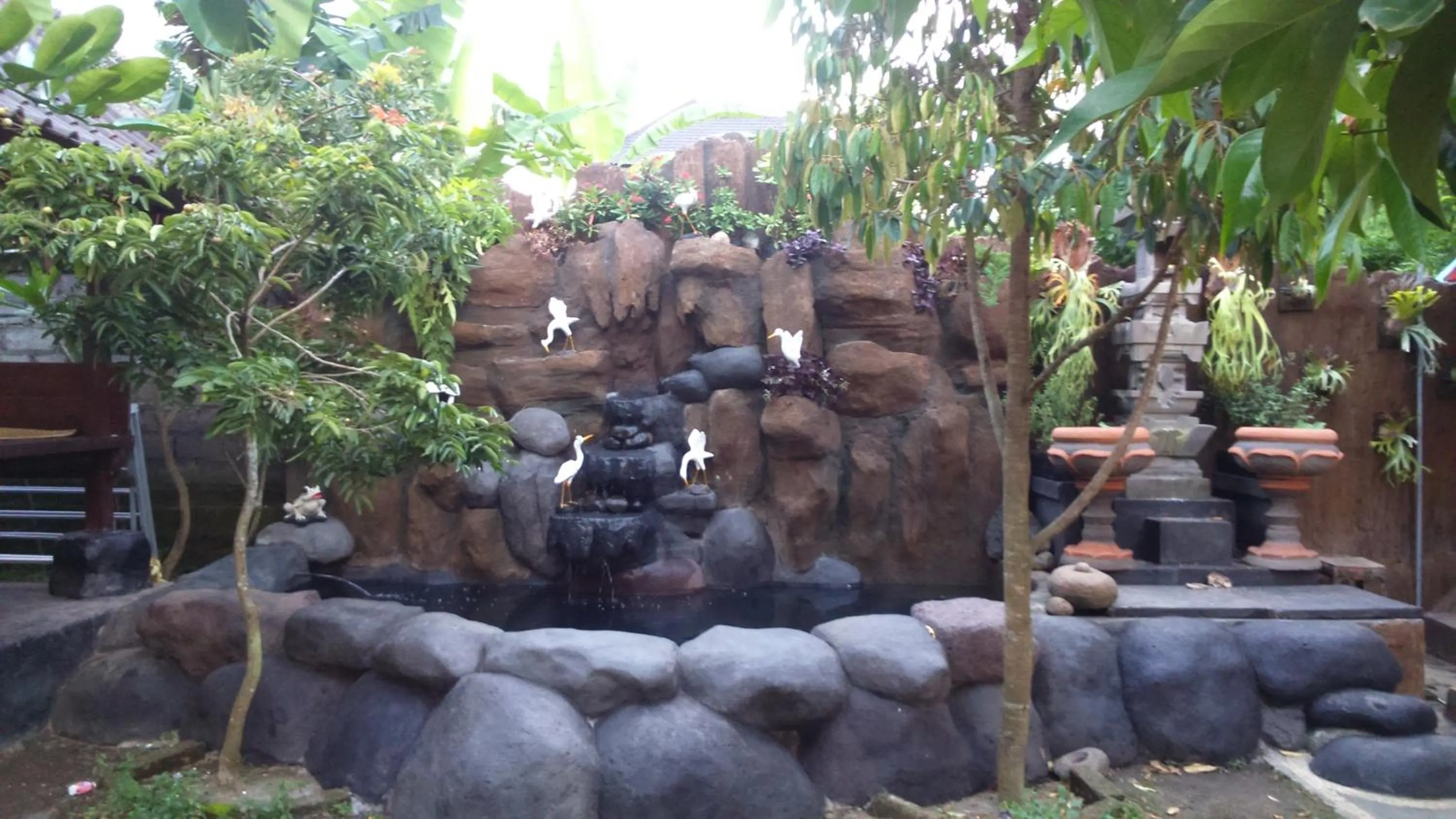 Garden in Muka House