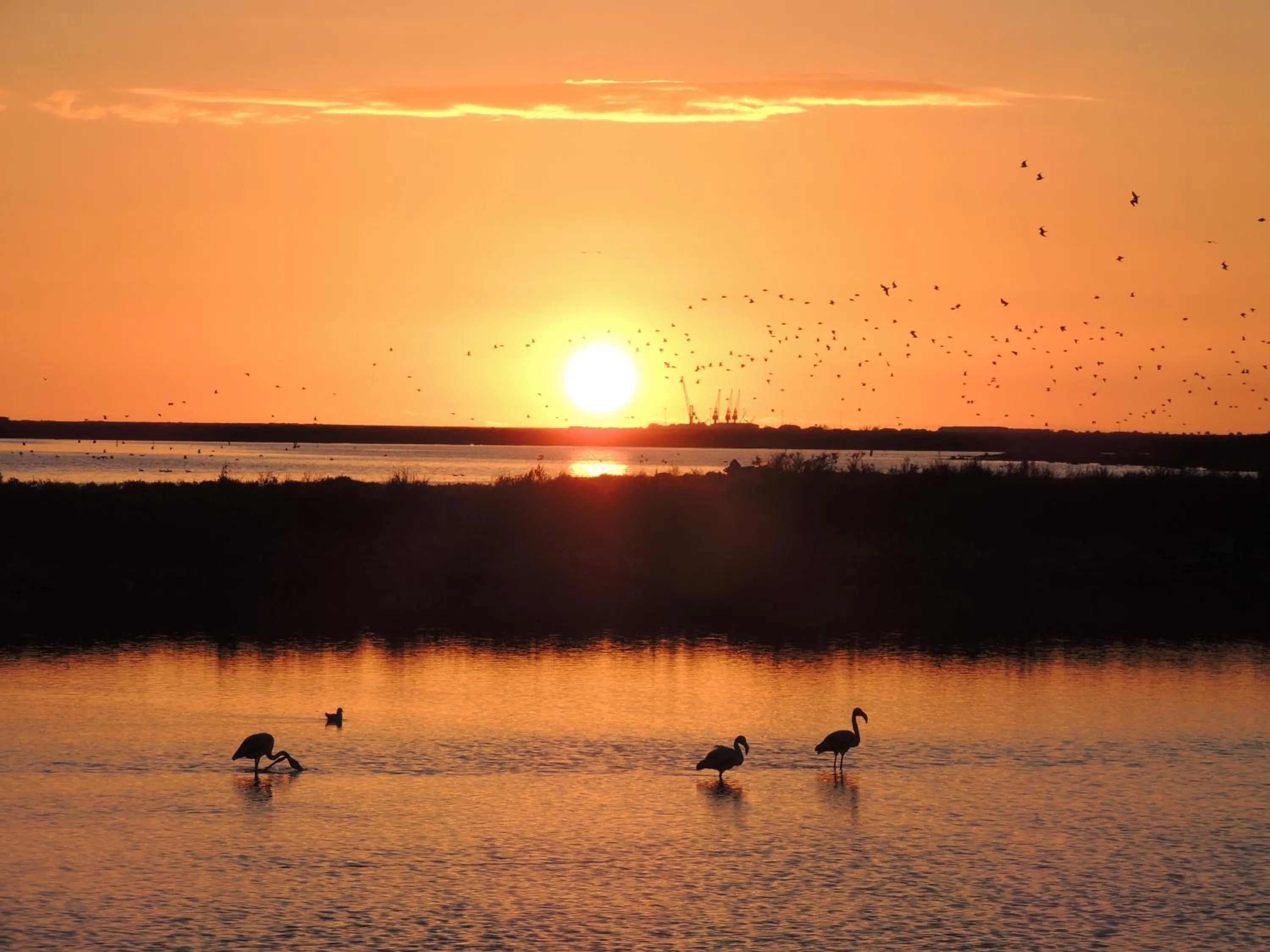 Sunset in Hotel Cidade de Olhão