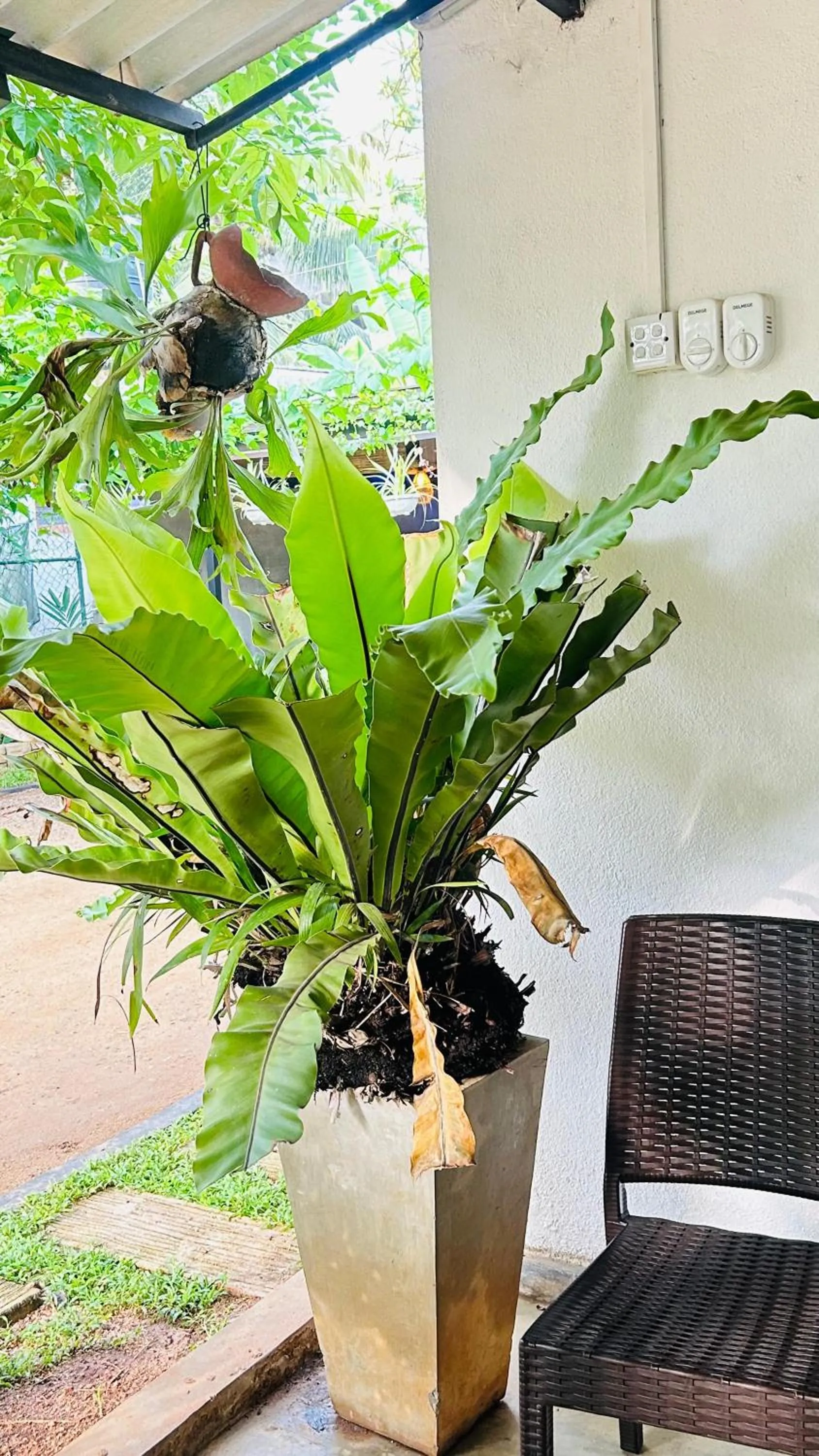 Goalma Family Holiday Resort & Restaurant