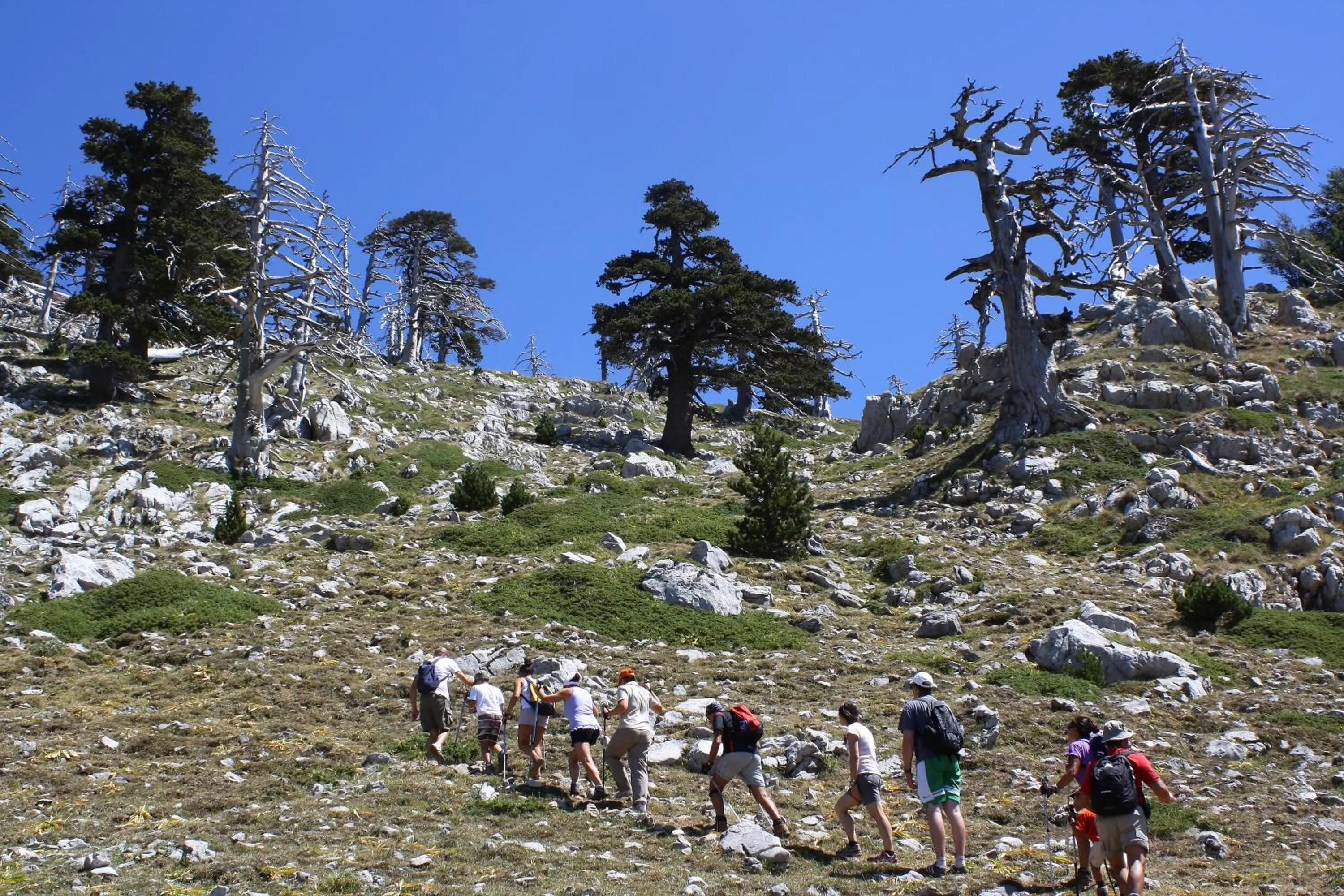 Day in Il Borgo Ospitale - Albergo Diffuso