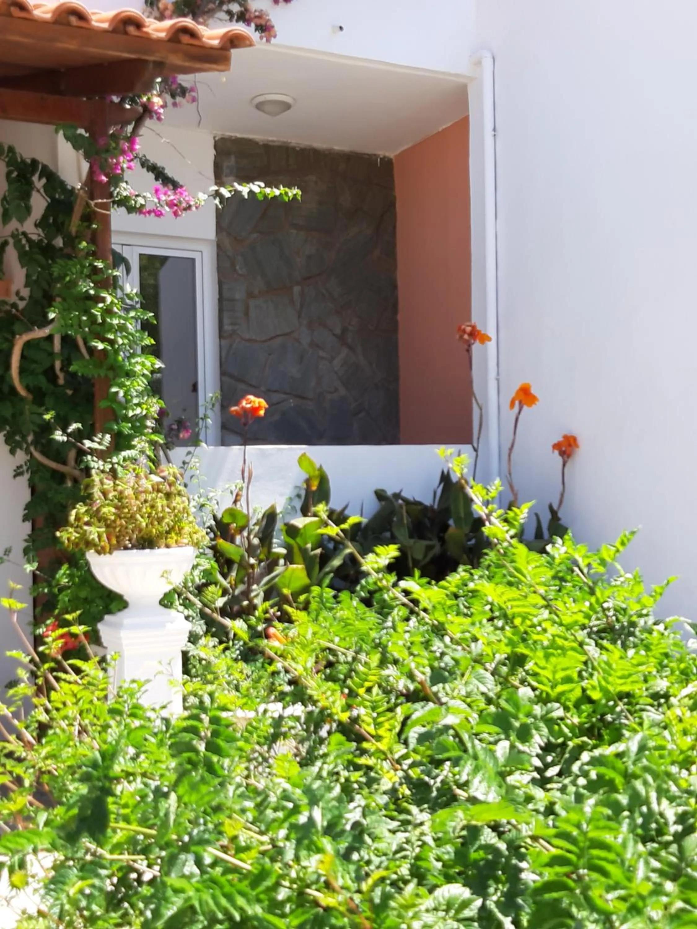 Garden in Eden Beach Hotel