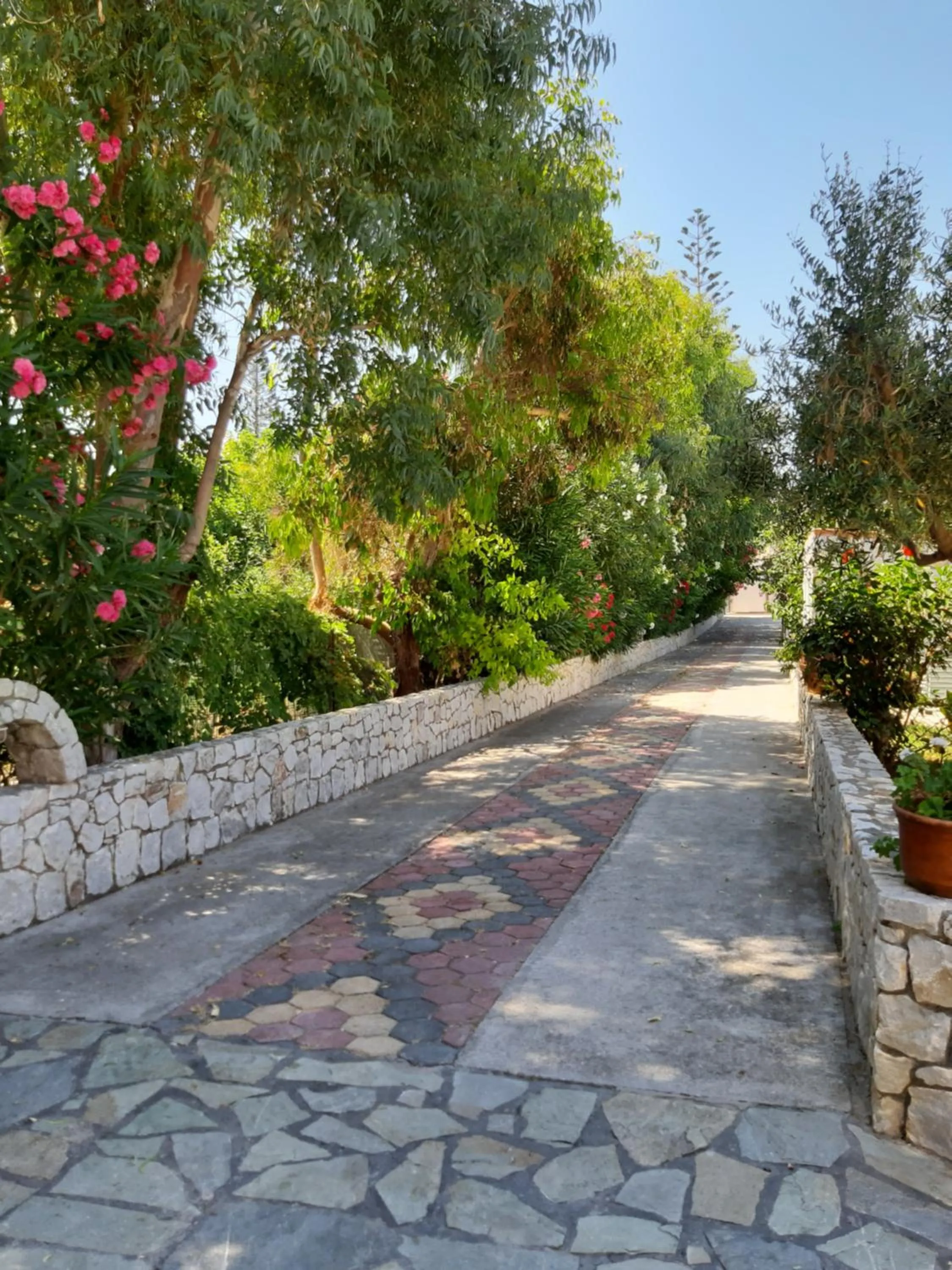 Area and facilities in Eden Beach Hotel