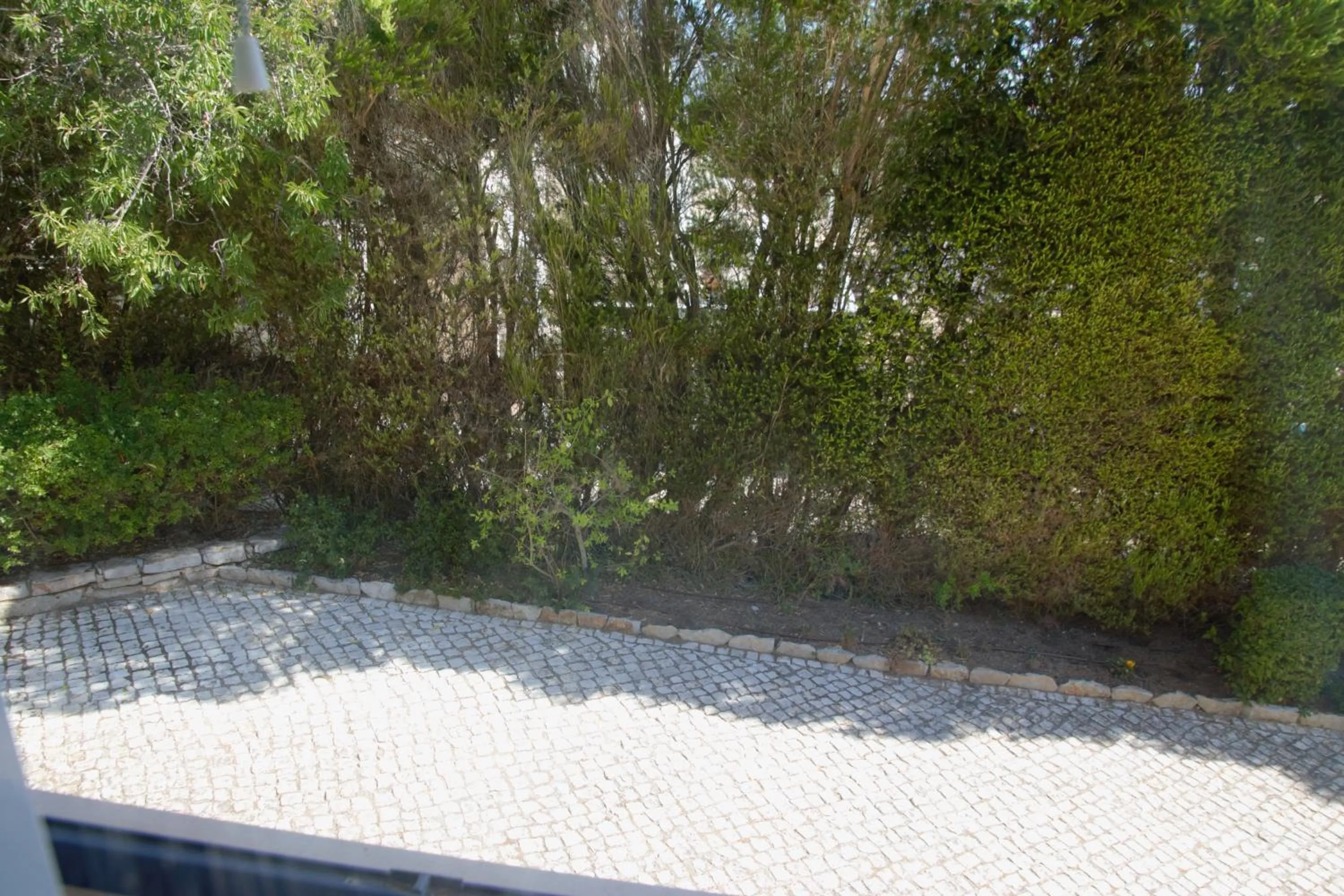 Garden in Vila Florina