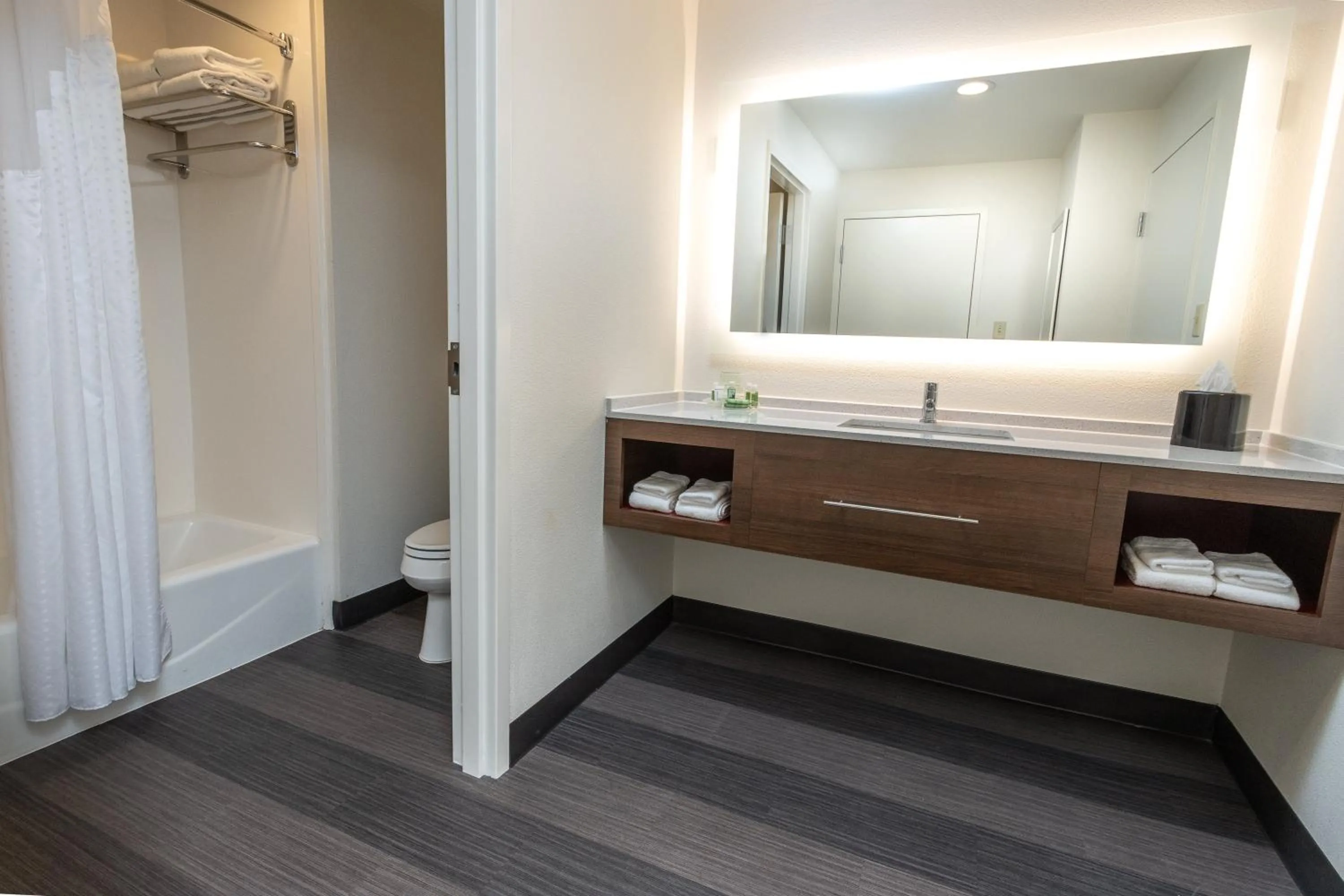 Bathroom in Holiday Inn Hotel & Suites Memphis-Wolfchase Galleria by IHG