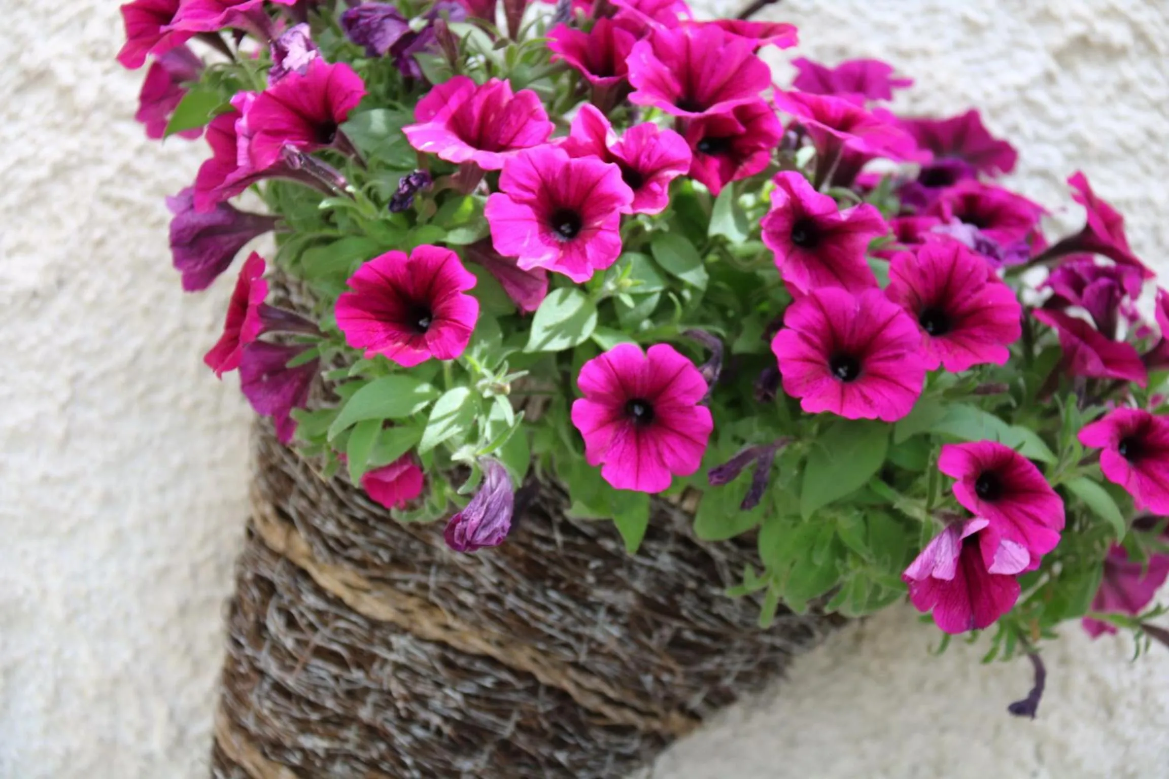 Decorative detail in Villa Bella Piemonte