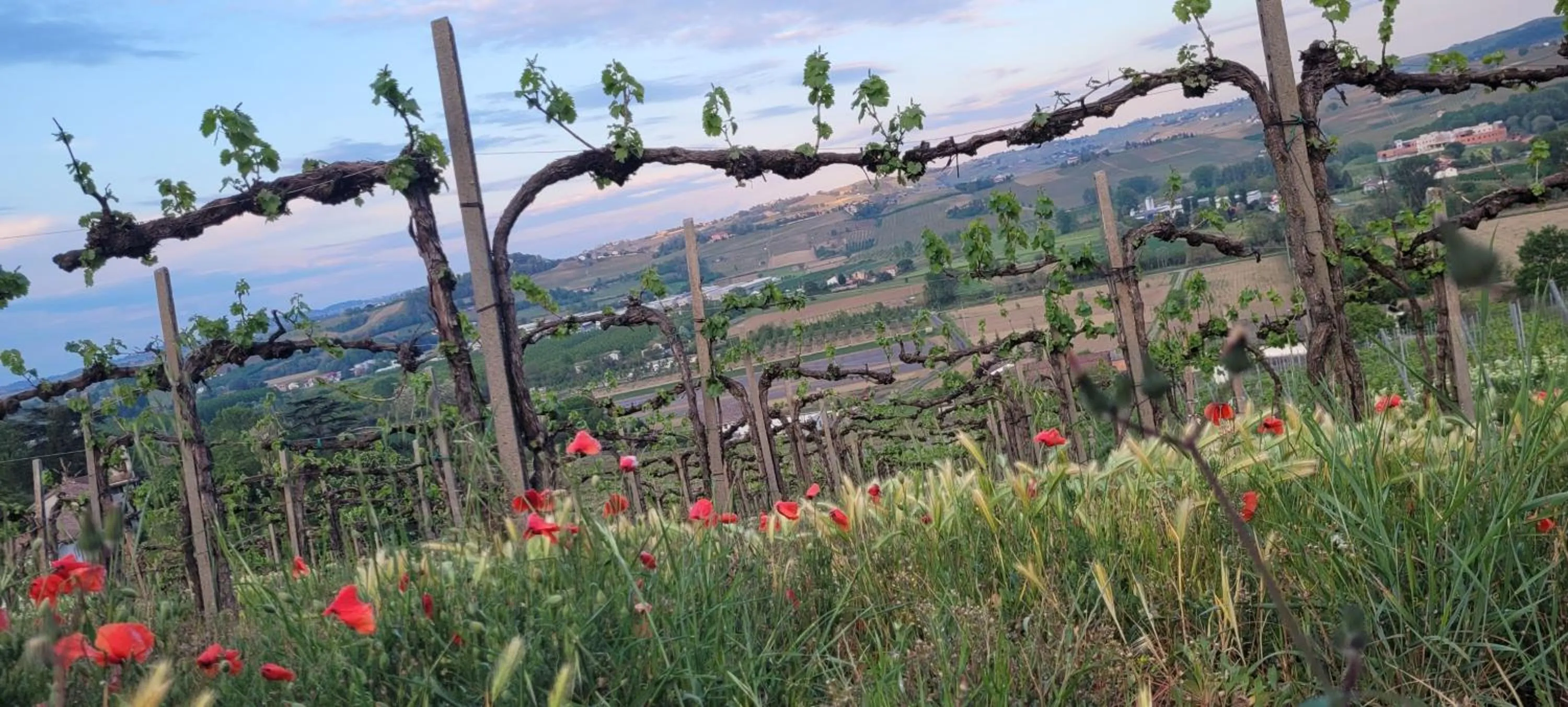 Natural landscape in Villa Bella Piemonte