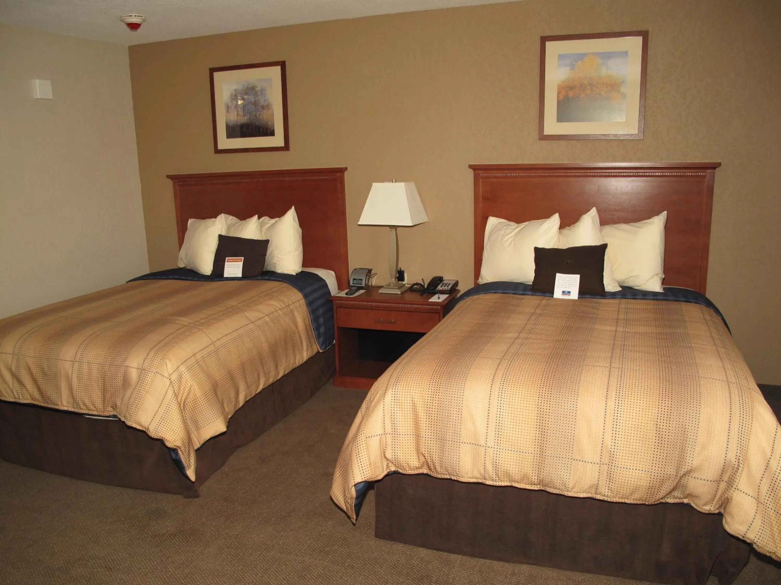 Bedroom, Bed in Candlewood Suites Elgin – Northwest Chicago by IHG