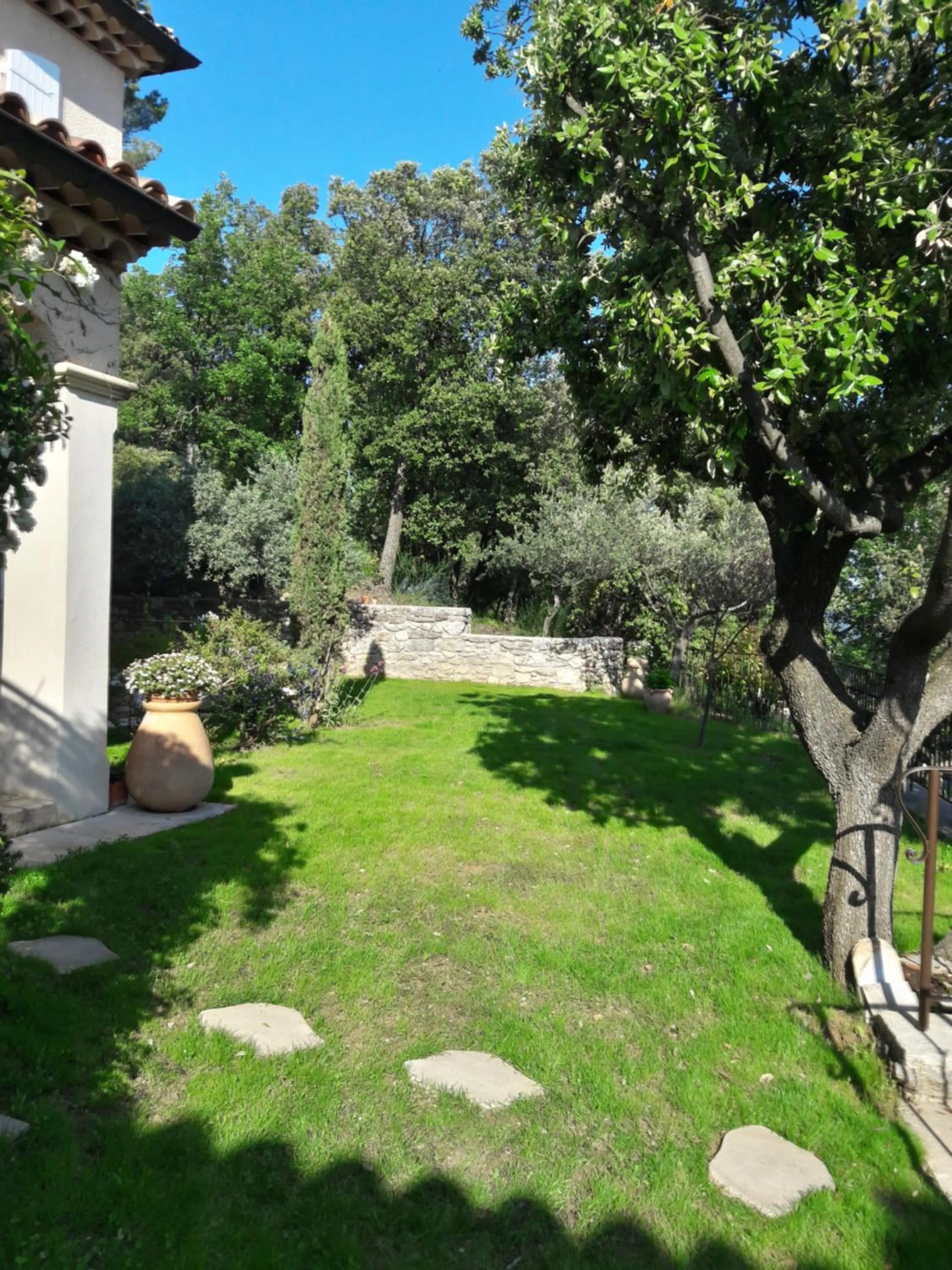 Garden view in Provence Dodo