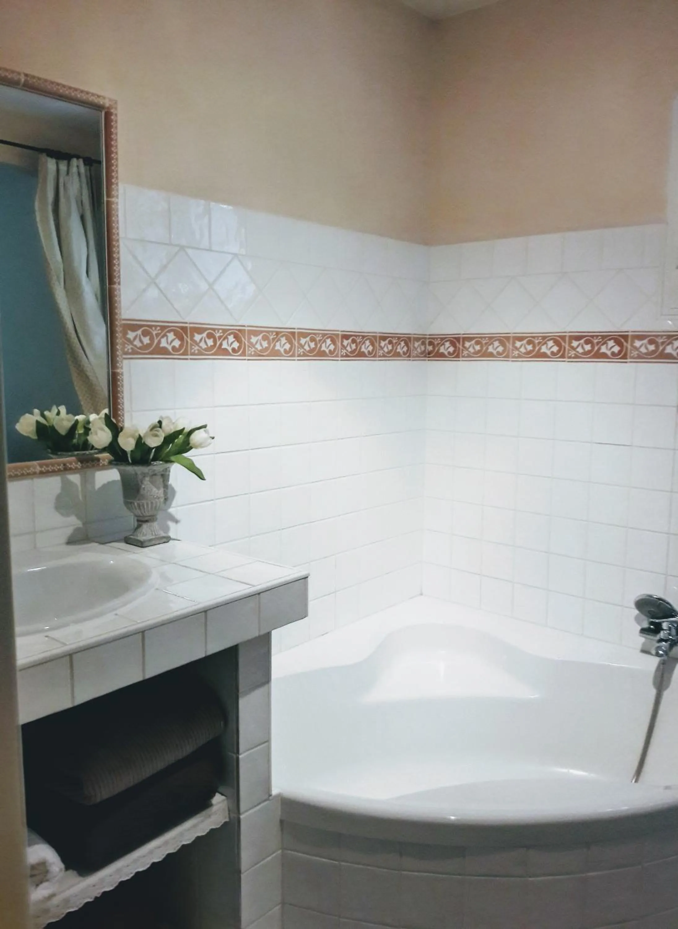 Bathroom in Provence Dodo